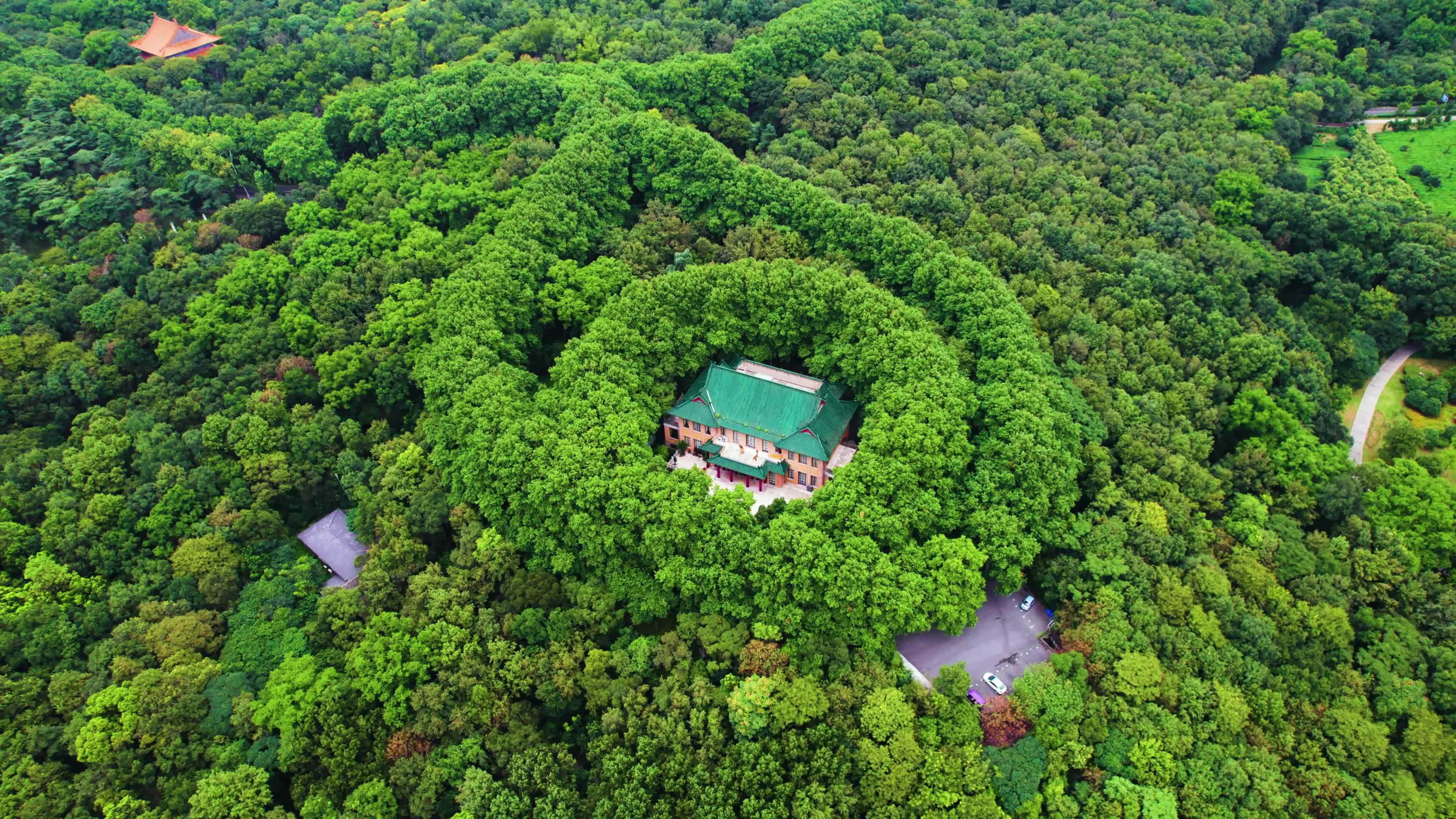 南京中山陵中山林美龄宫航拍延时素材视频素材画面4
