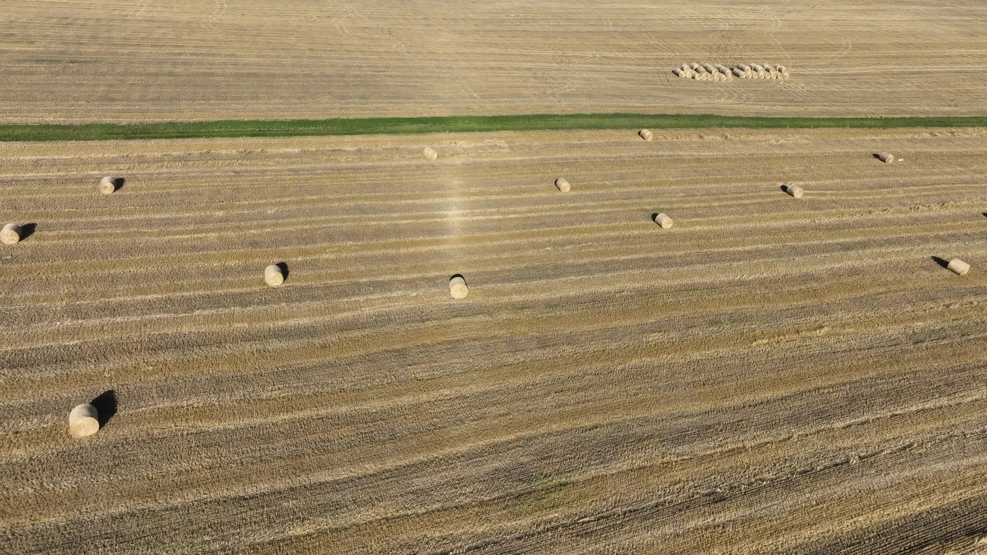 收割后的小麦地视频素材画面1