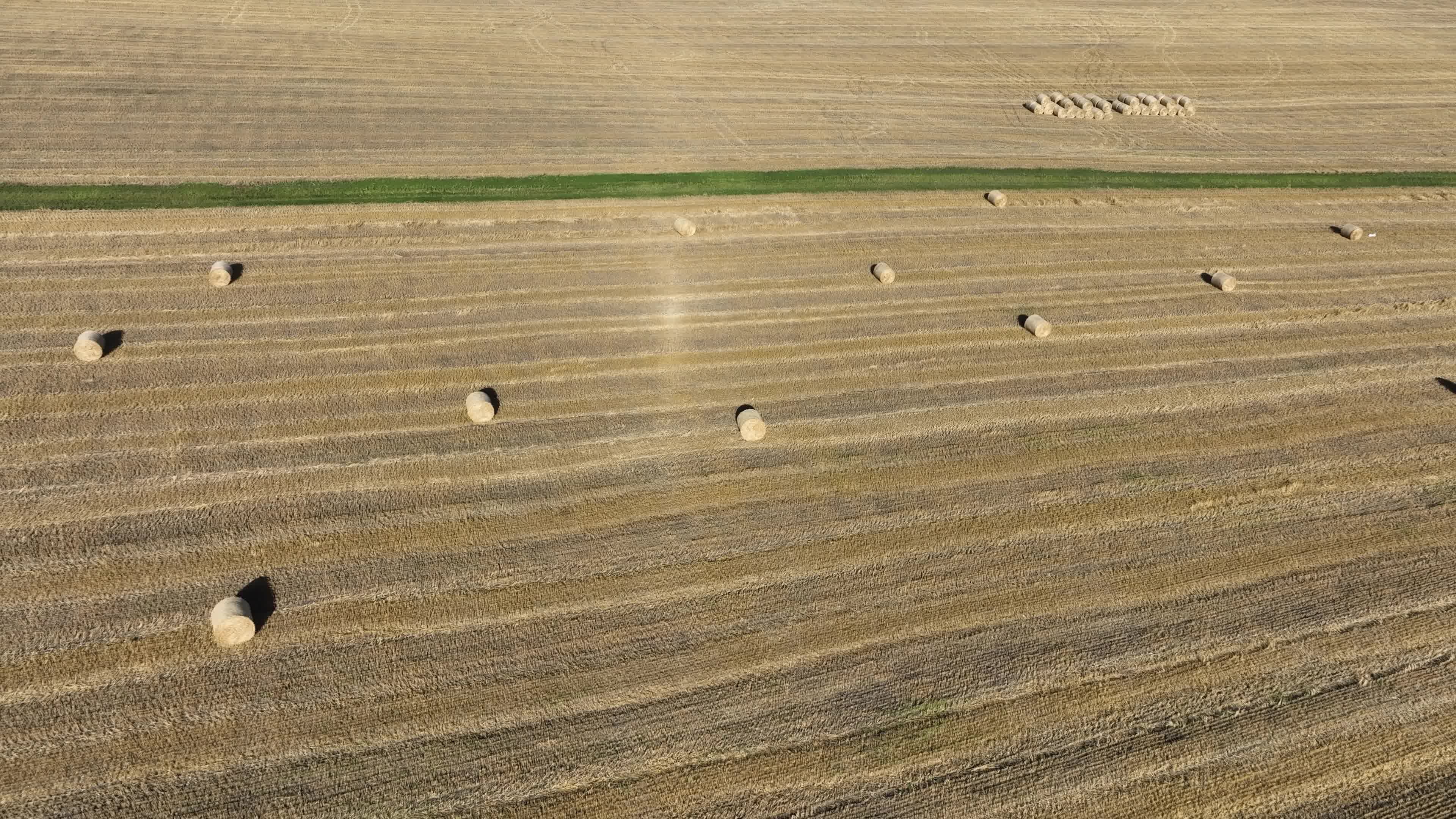 收割后的小麦地视频素材画面2