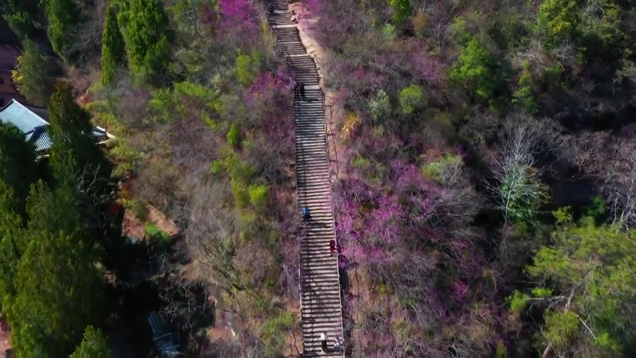 浙江天台，天台山风光，赤城山紫荆花，合集视频素材画面3