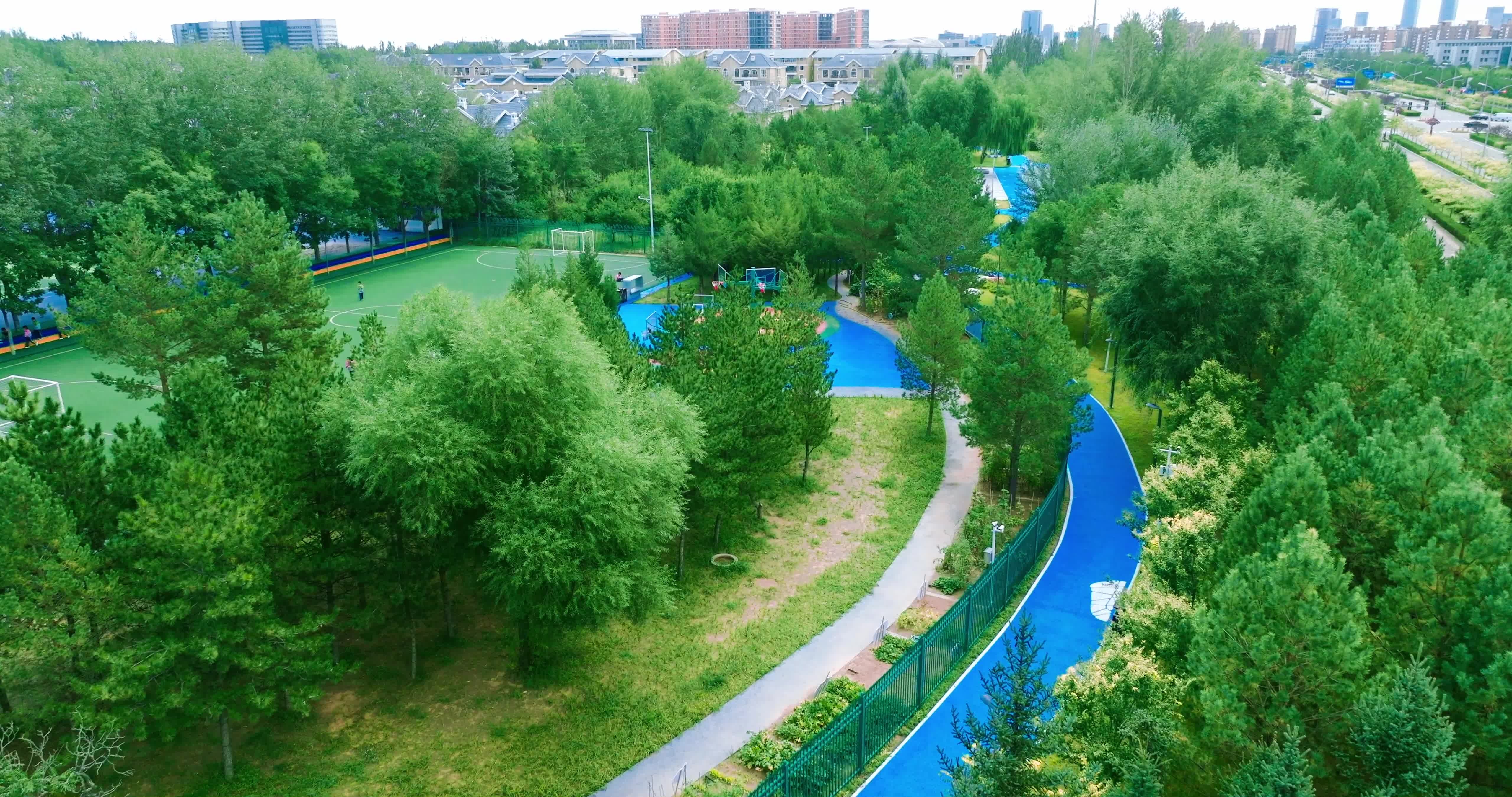 康巴什绿地跑道步行道视频素材画面1