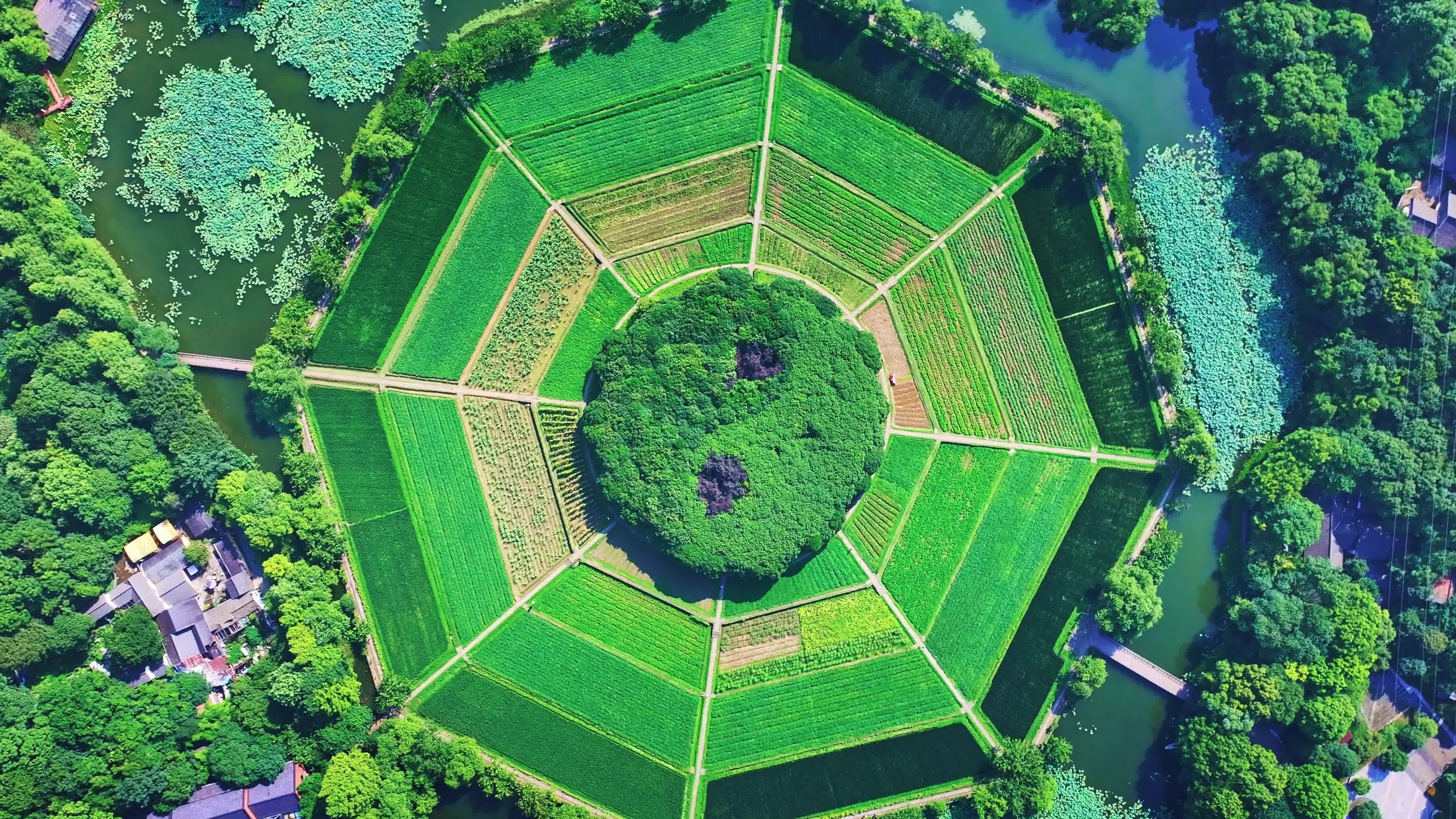 航拍杭州八卦田 西湖田园风光视频素材画面1