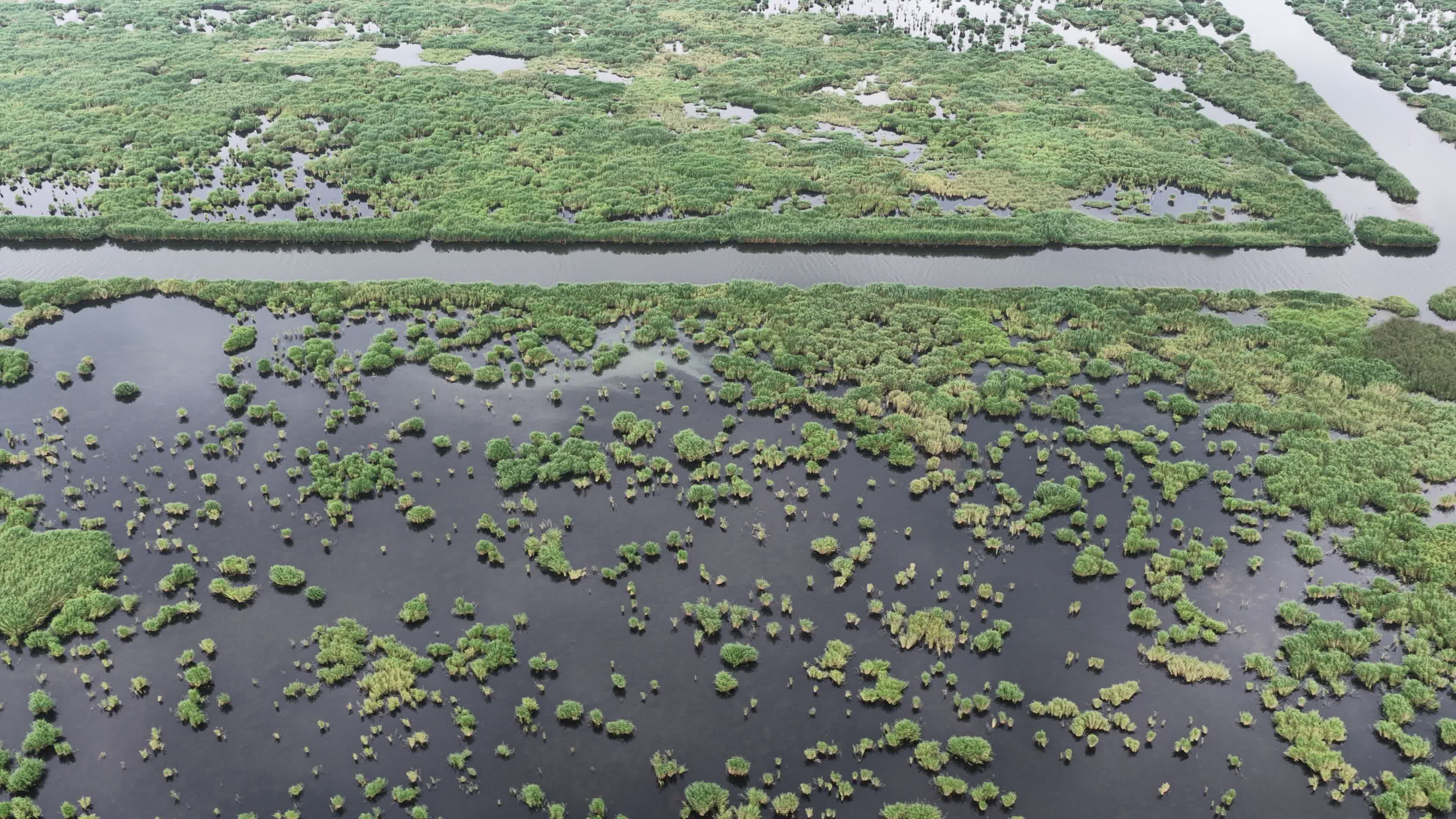 乌梁素海 内蒙古 巴彦淖尔视频素材画面4