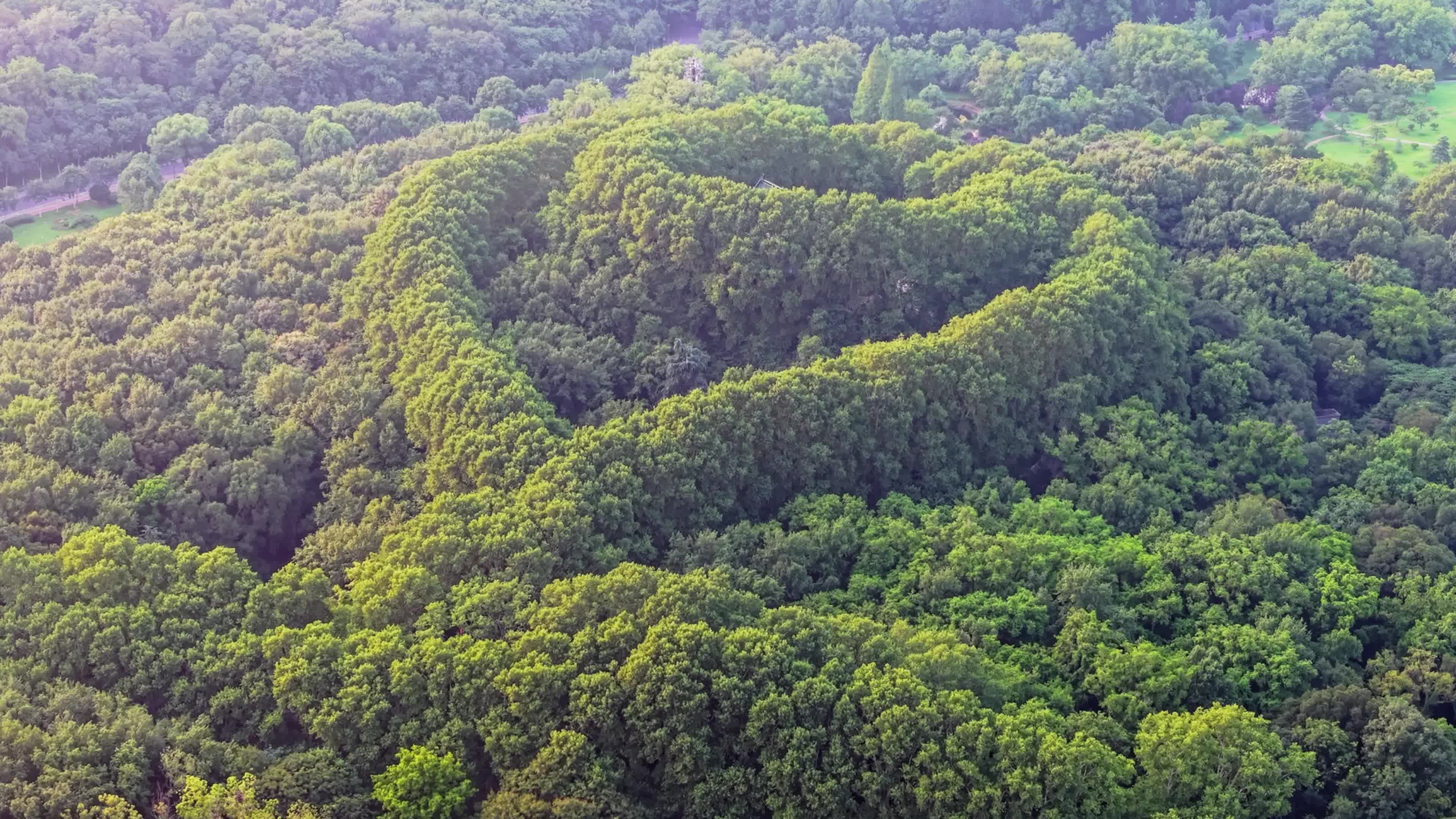 南京美龄宫夏季风光视频素材画面2