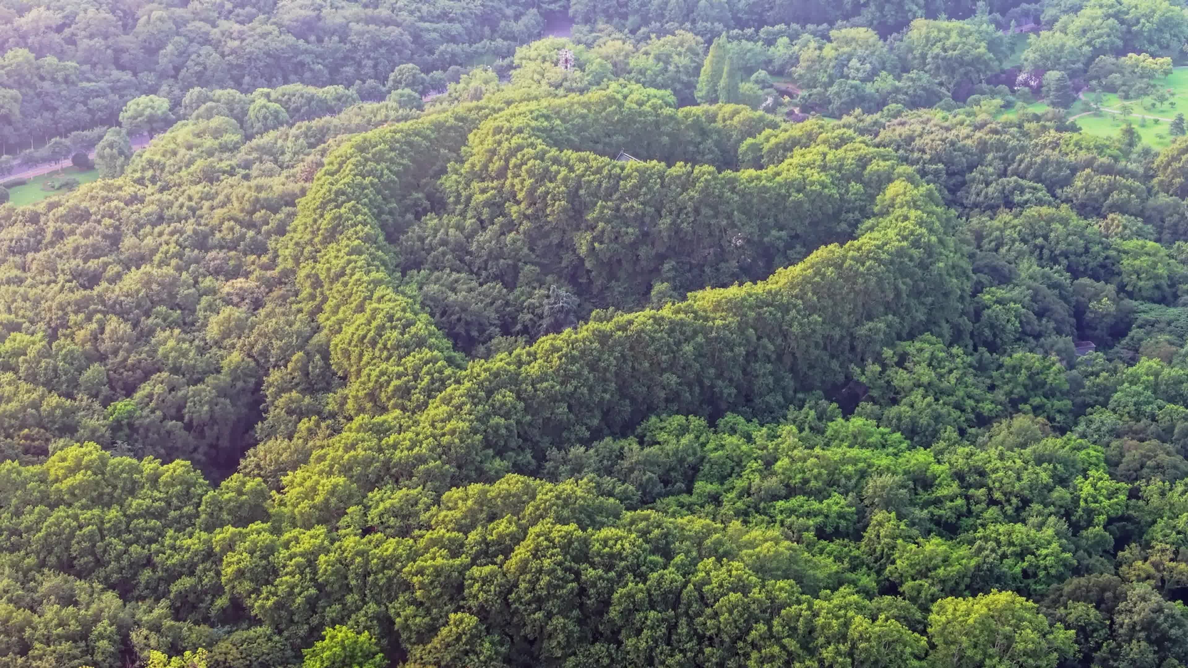 南京美龄宫夏季风光视频素材画面3