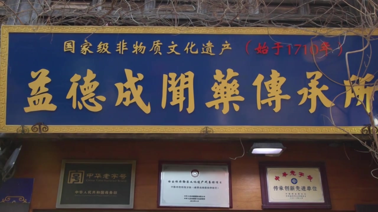 【合集】扬州非遗文化美食街东关街古风建筑视频素材画面3