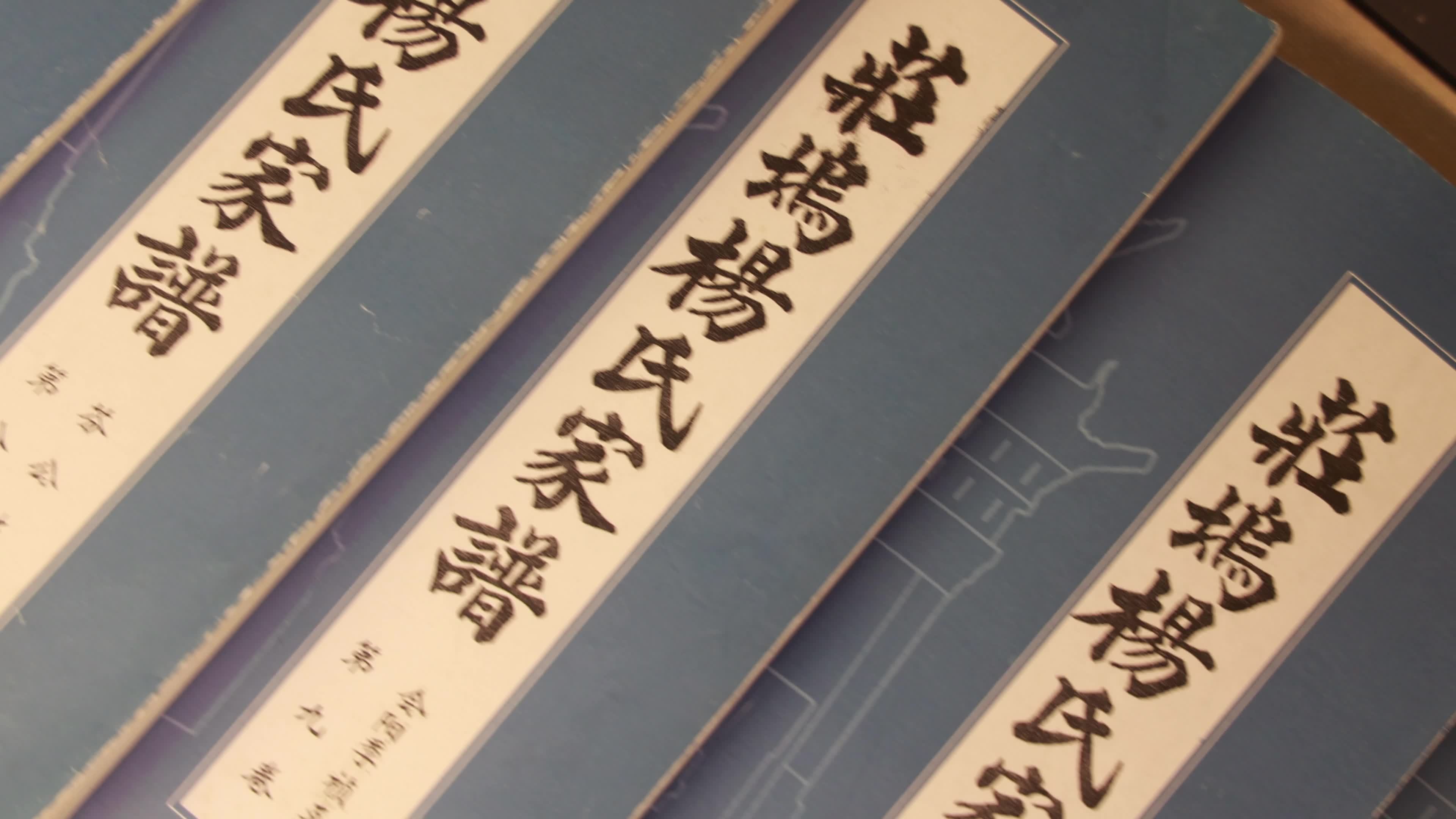 杨氏家谱 兰陵庄坞杨氏家谱 杨氏视频素材画面1