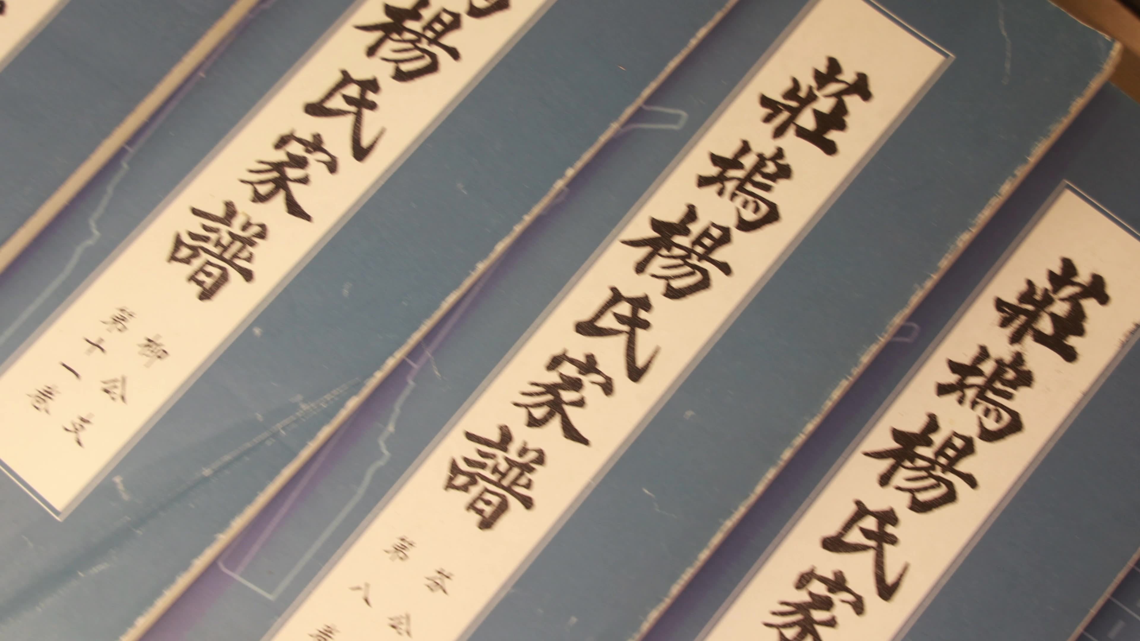 杨氏家谱 兰陵庄坞杨氏家谱 杨氏视频素材画面2