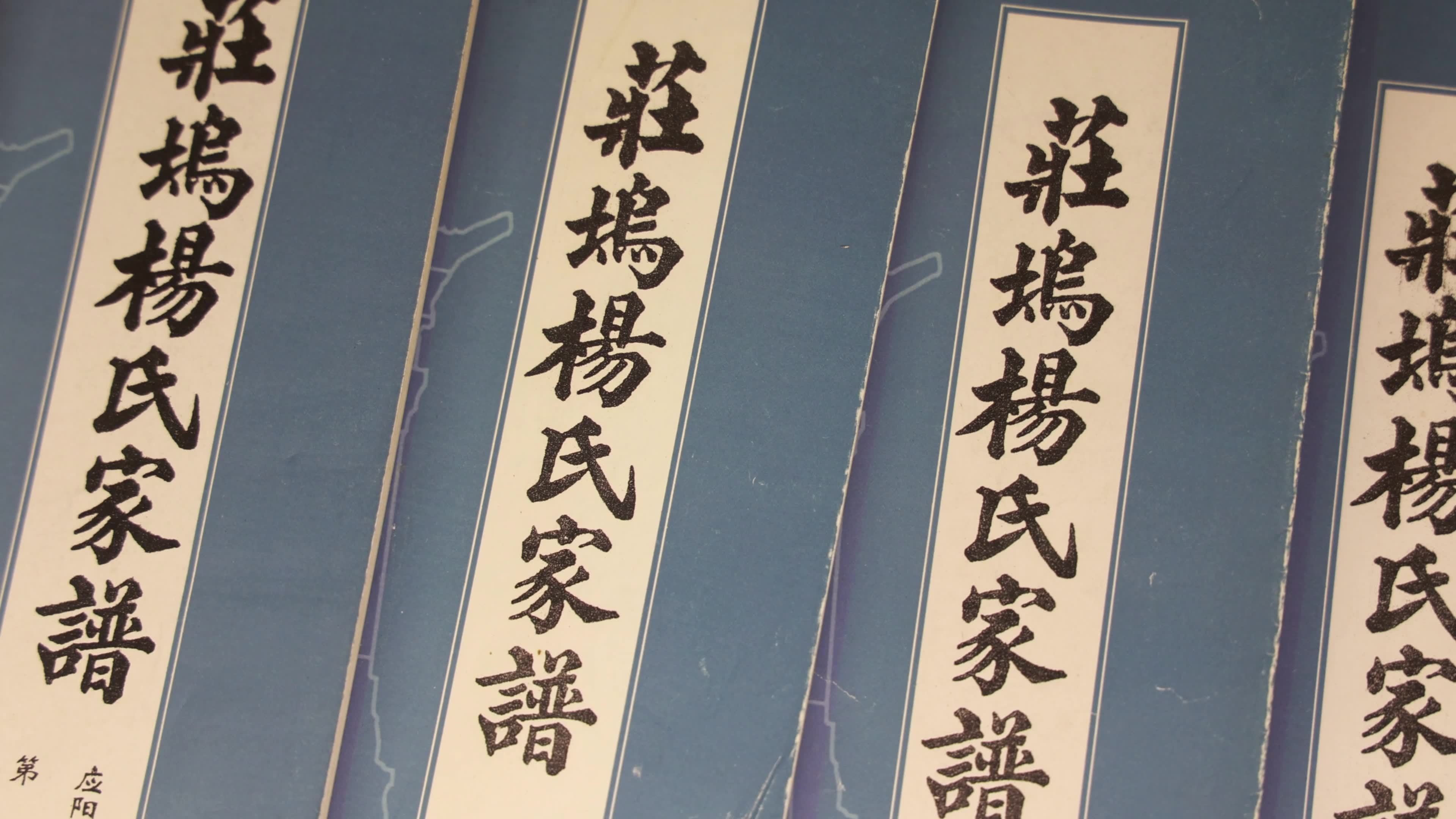 杨氏家谱 兰陵庄坞杨氏家谱 杨氏视频素材画面4
