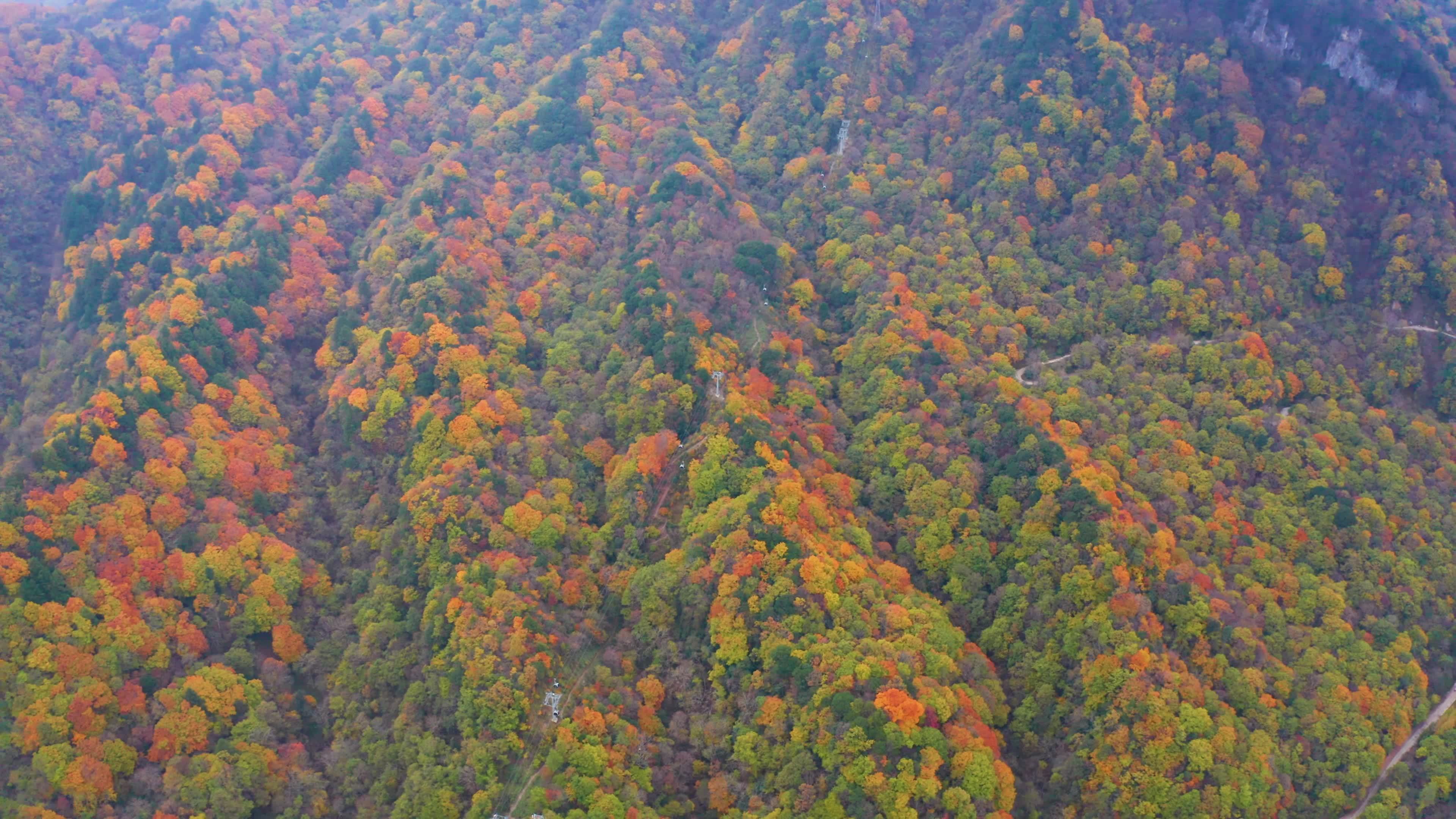 航拍光雾山山林秋色风光视频素材画面2