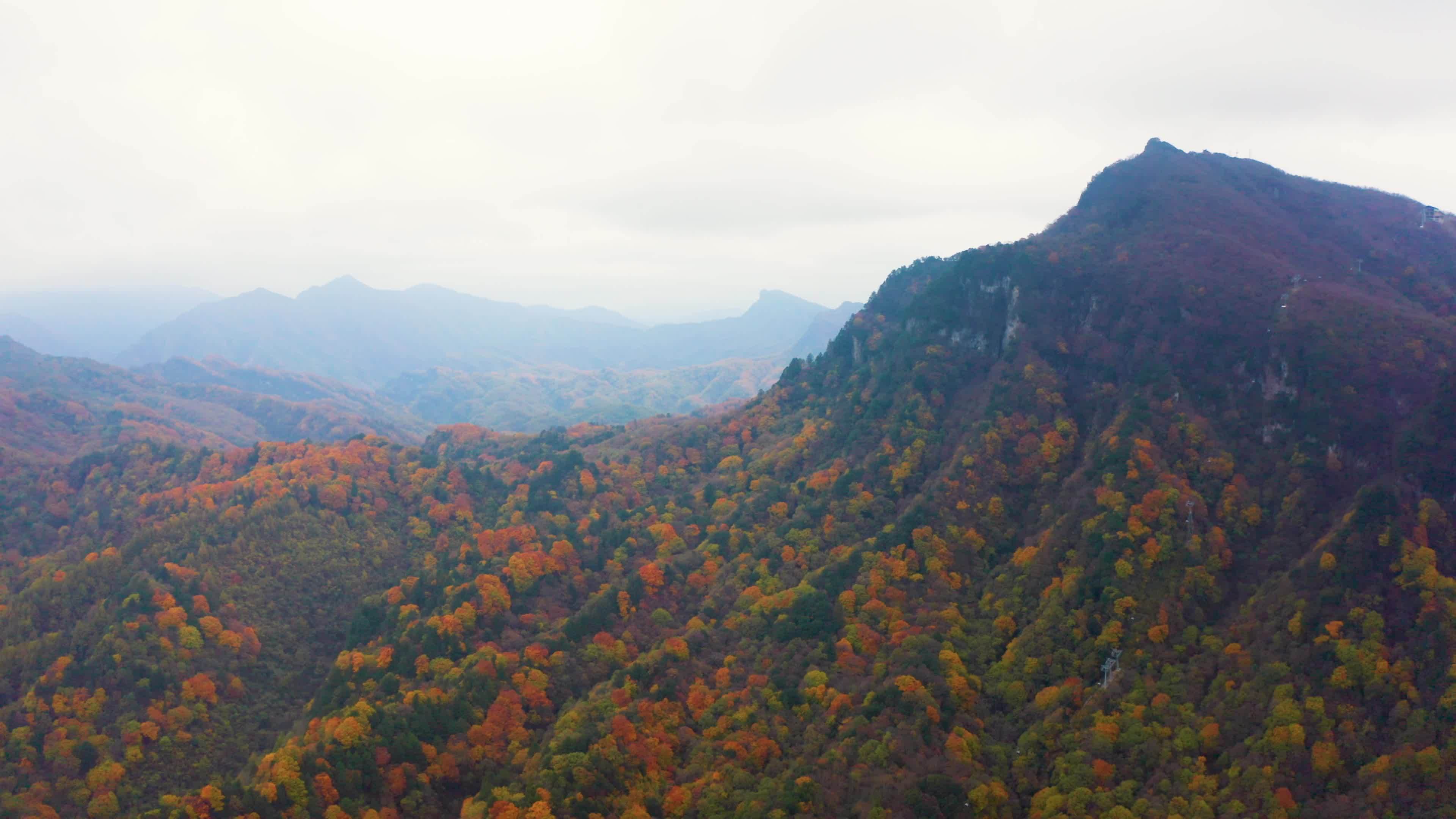 航拍光雾山山林秋色风光视频素材画面4