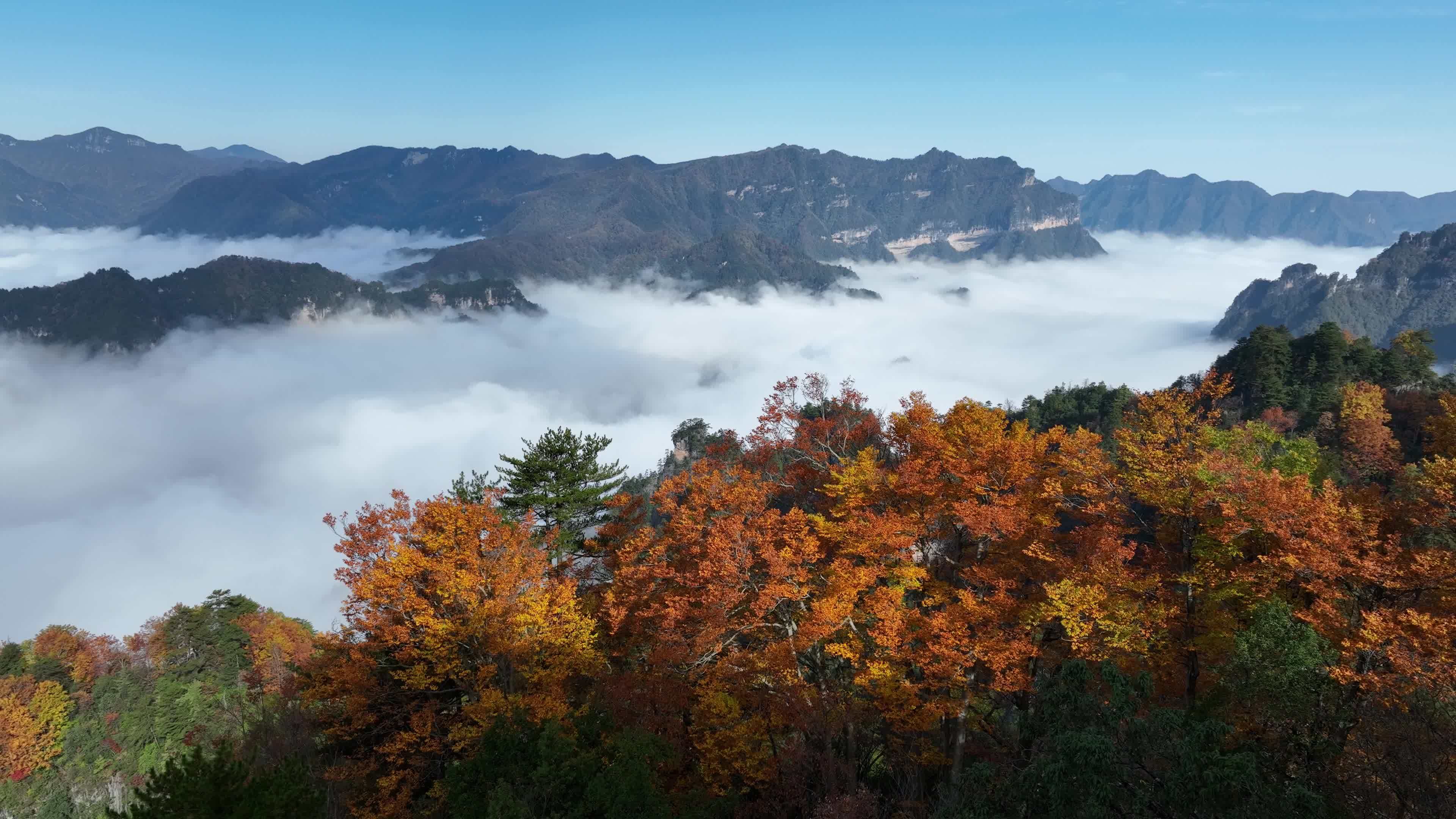 巴中光雾山燕子岭云海视频素材画面1