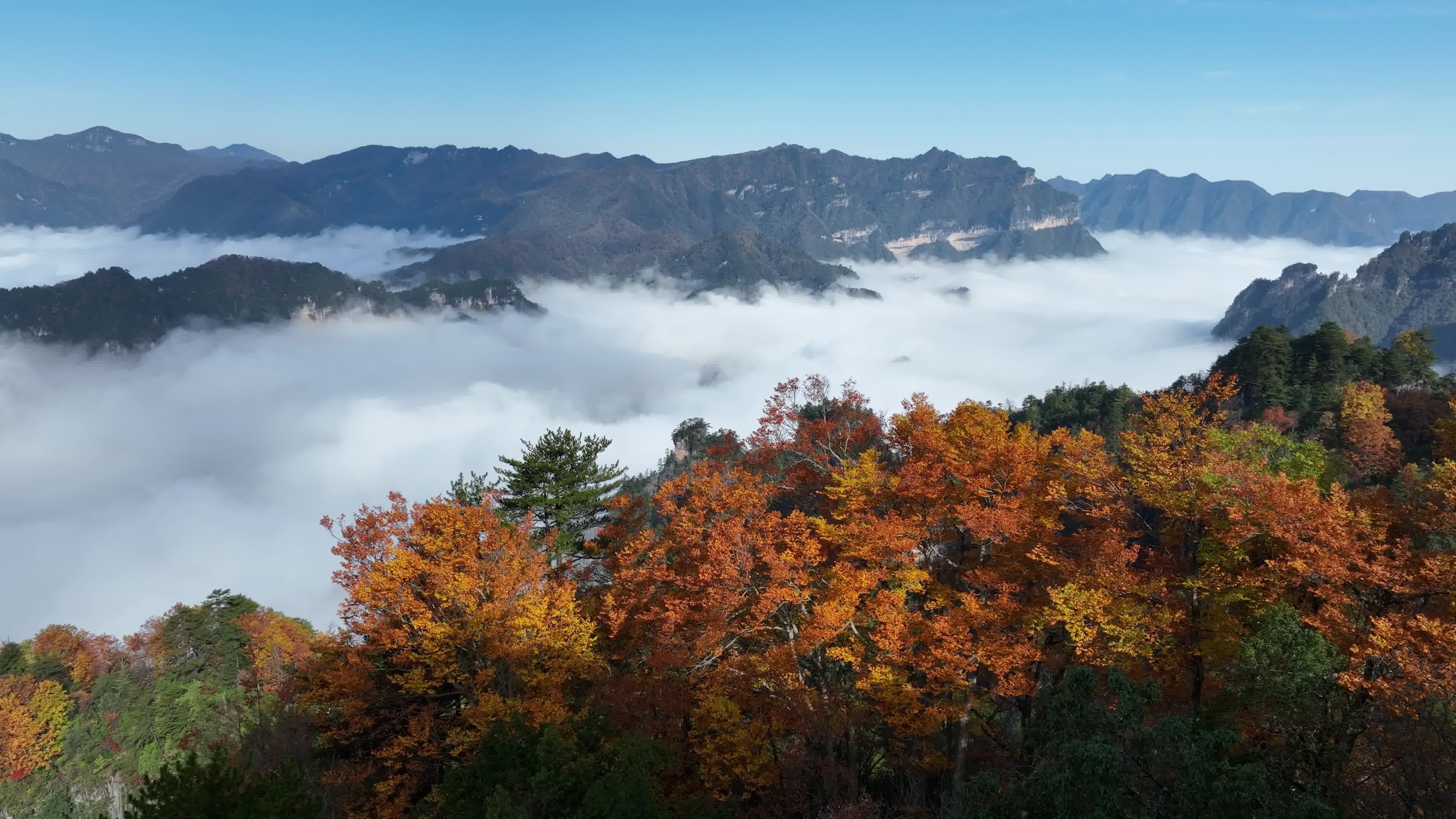 巴中光雾山燕子岭云海视频素材画面3