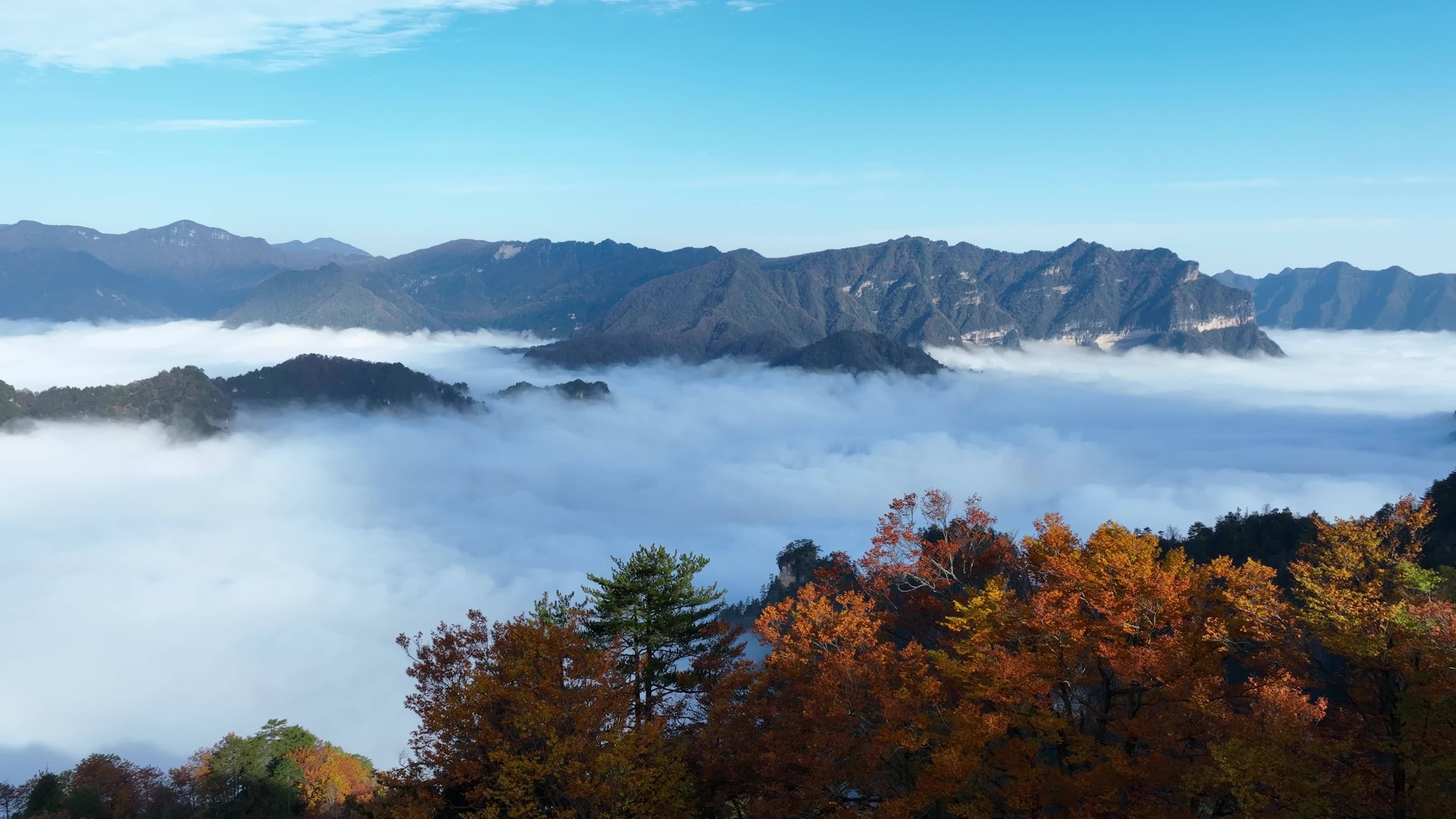 巴中光雾山燕子岭云海视频素材画面2