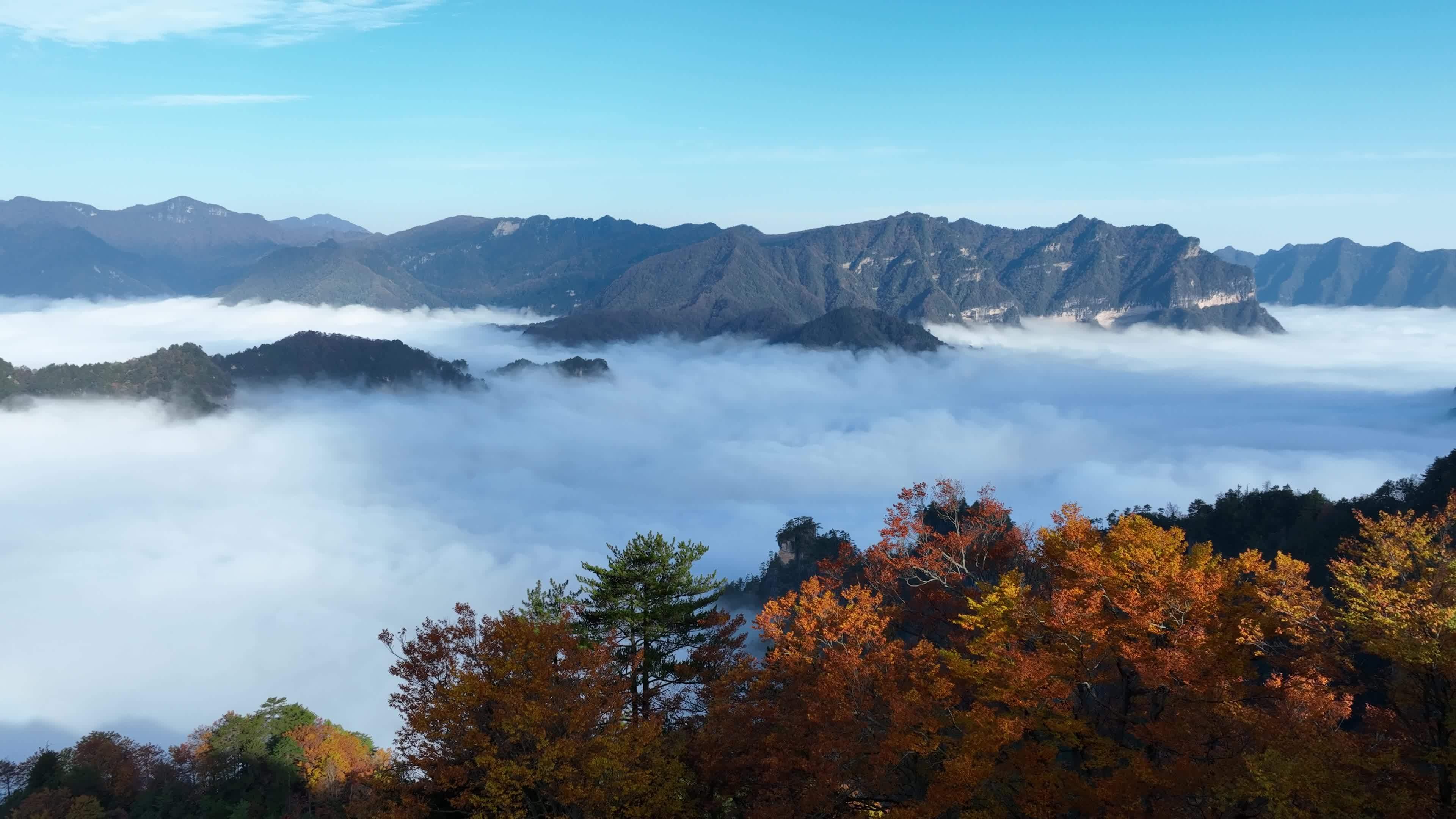 巴中光雾山燕子岭云海视频素材画面3
