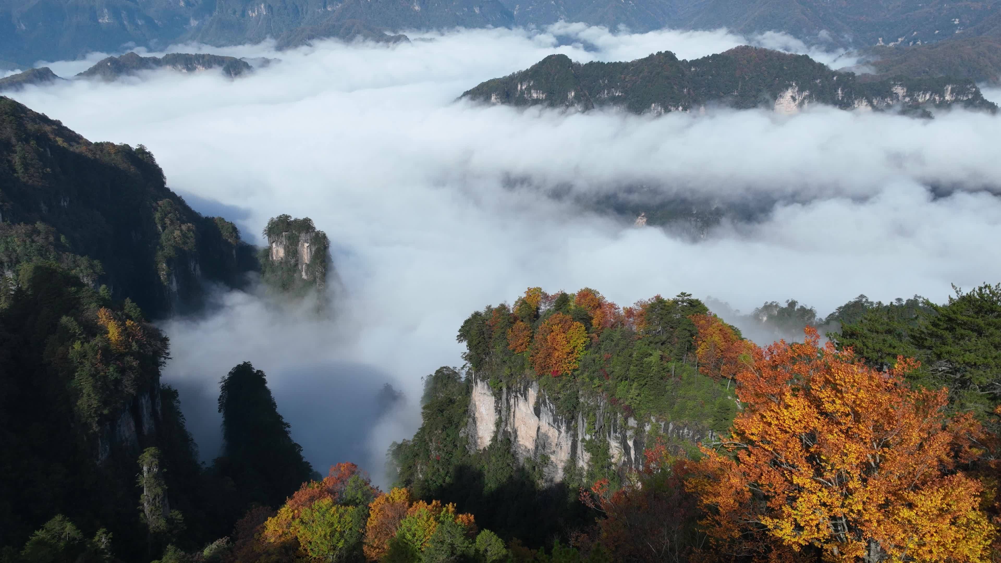 巴中光雾山燕子岭云海视频素材画面1