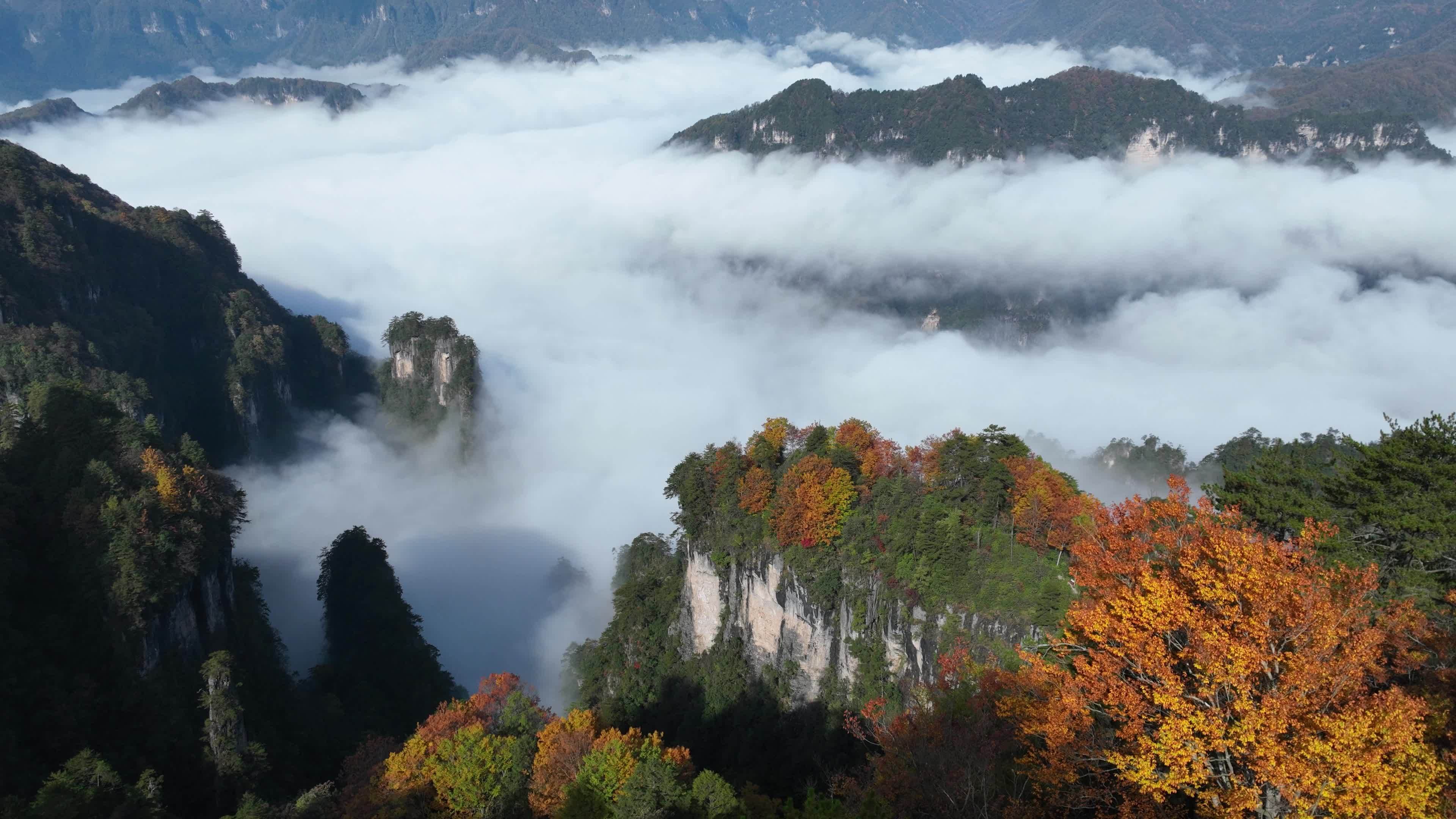 巴中光雾山燕子岭云海视频素材画面2