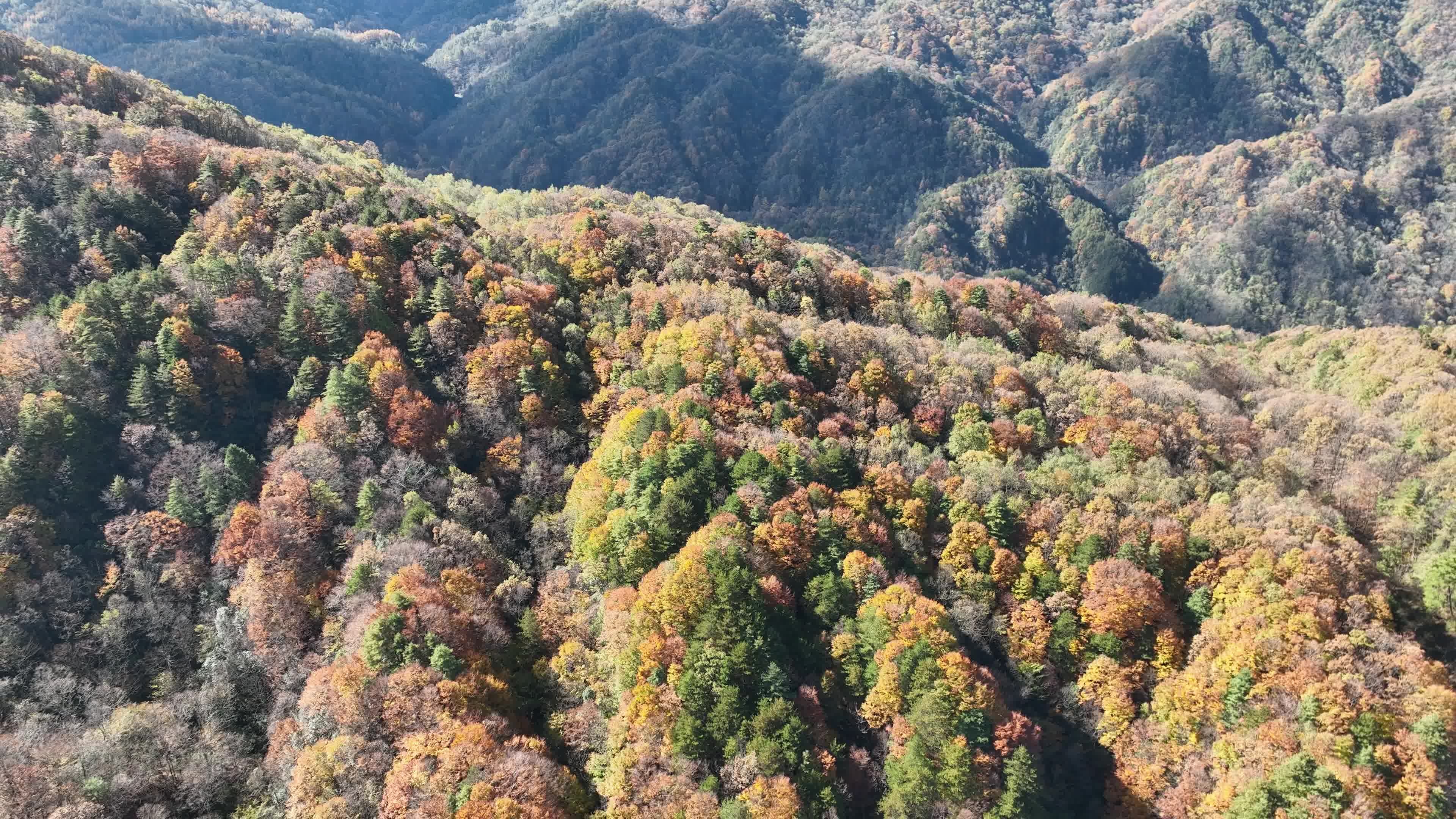 巴中光雾山红叶视频素材画面3
