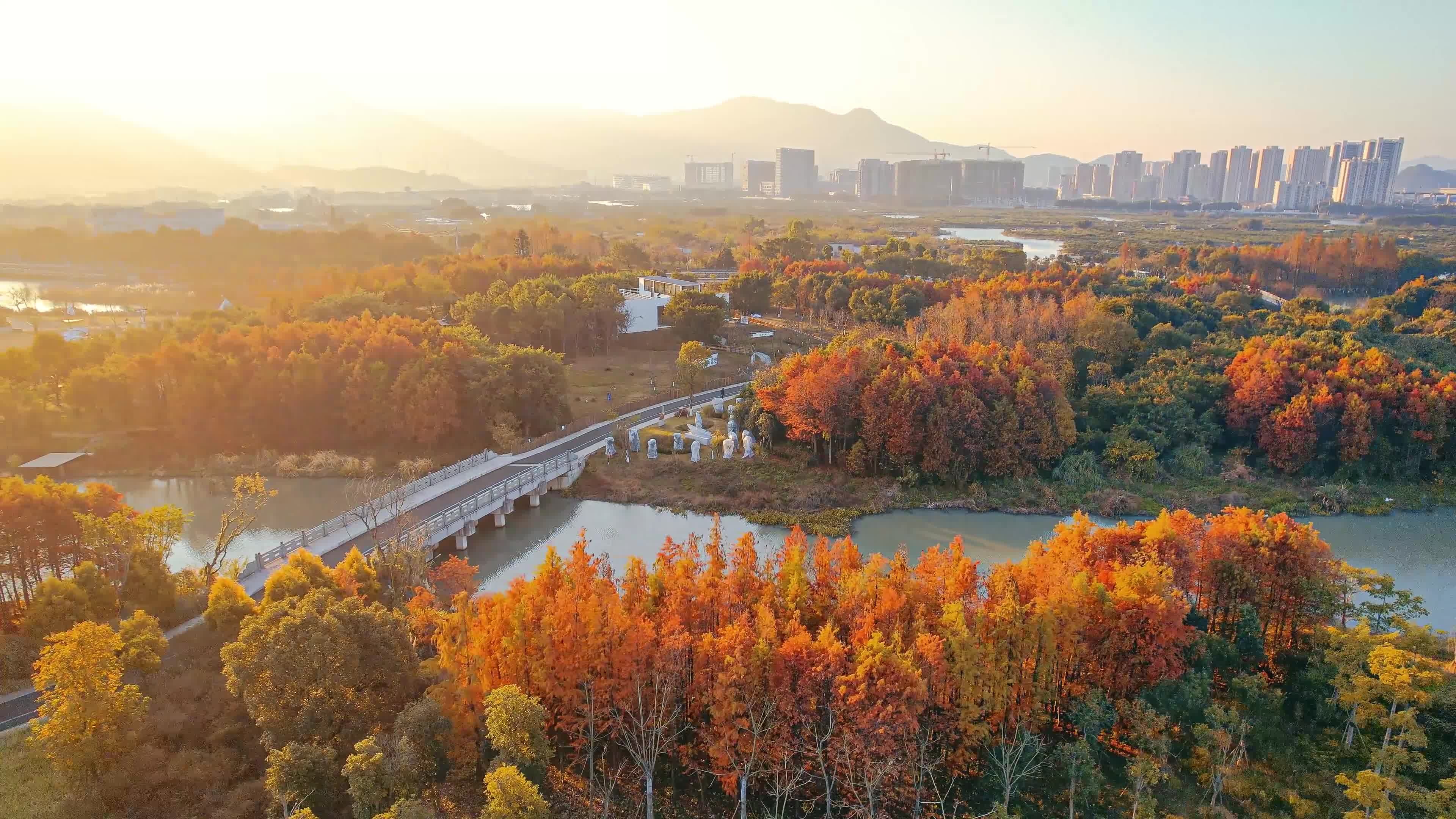 温州三垟湿地视频素材画面2