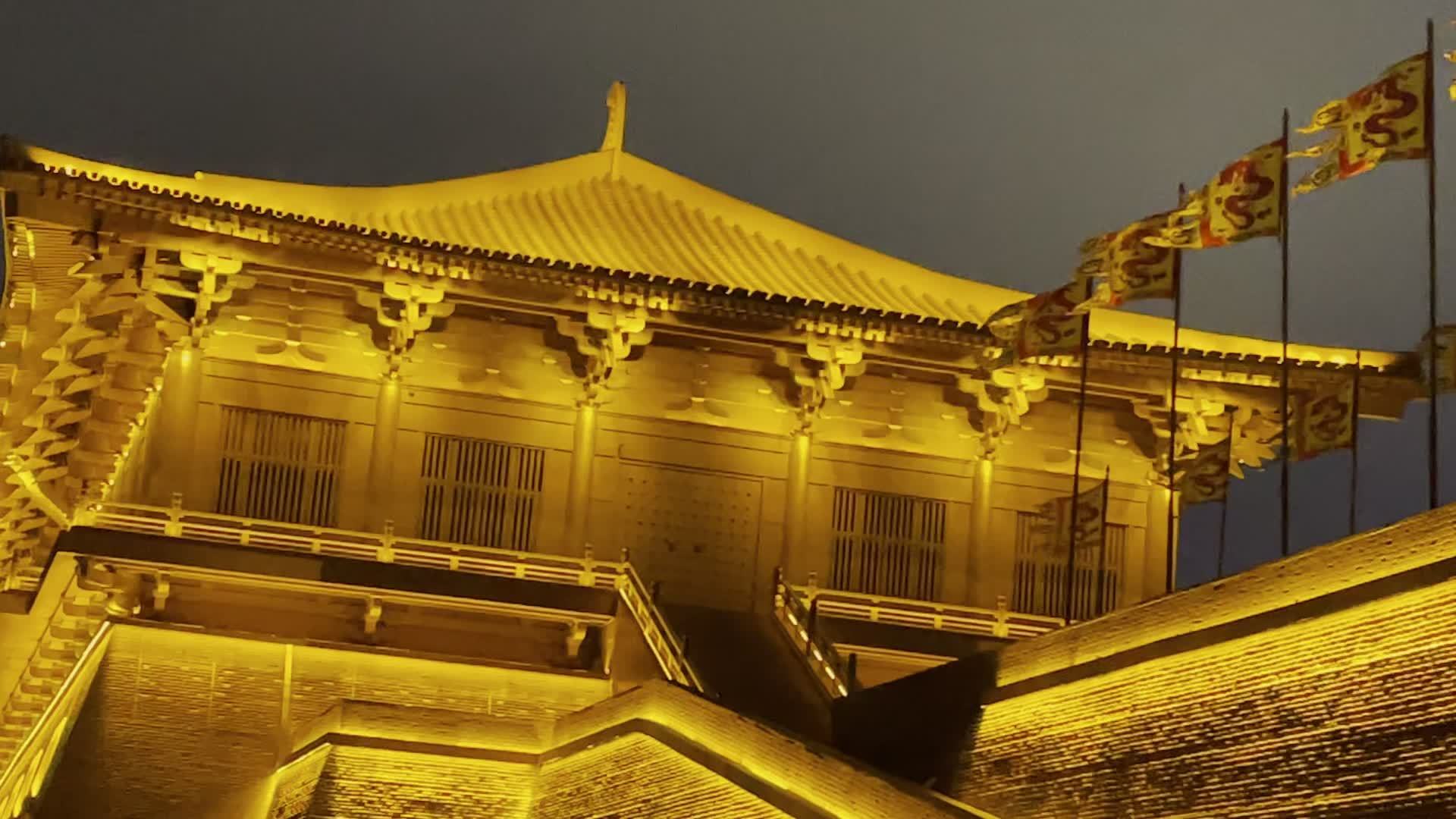 大明宫遗址公园夜景视频素材画面1