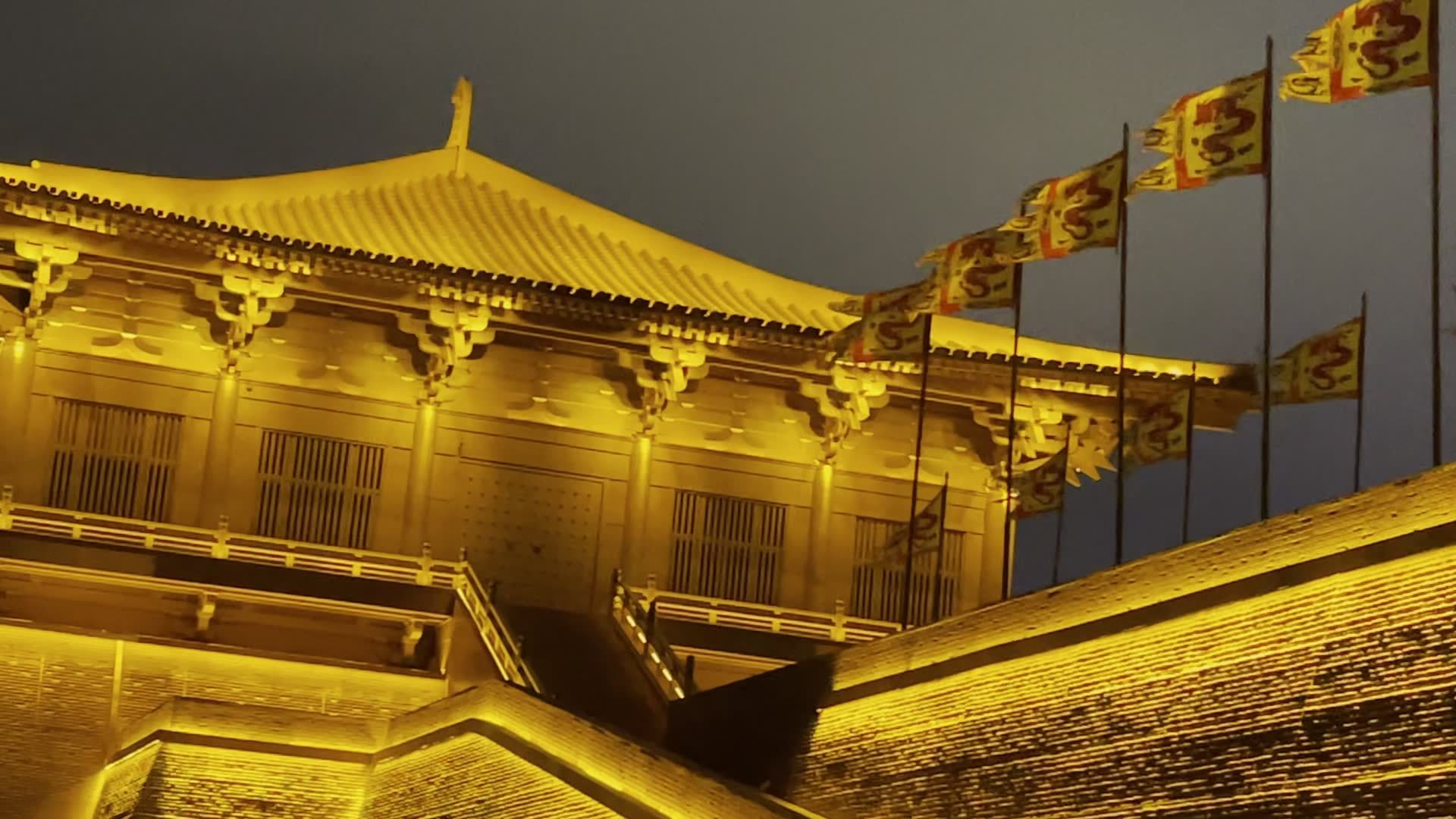 大明宫遗址公园夜景视频素材画面4