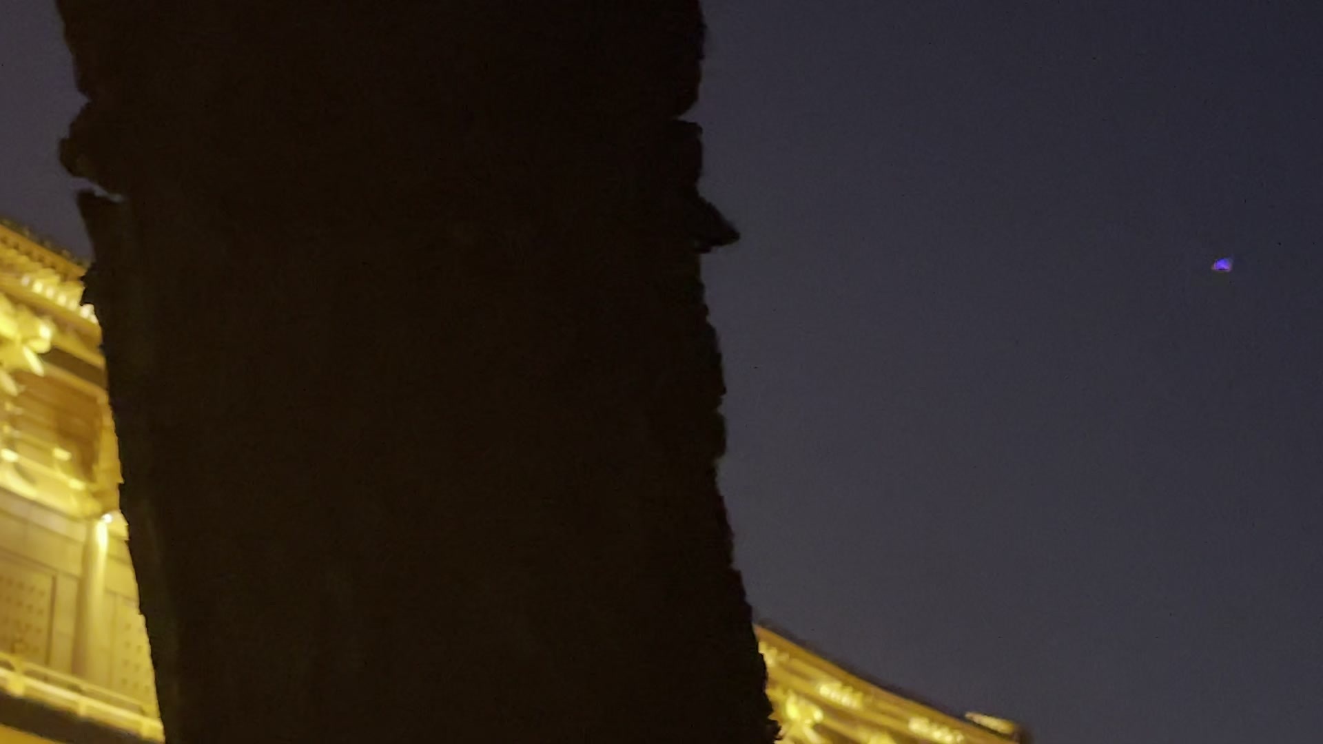 大明宫遗址公园夜景视频素材画面1