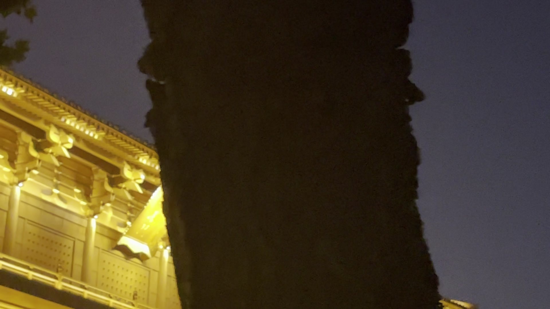 大明宫遗址公园夜景视频素材画面3