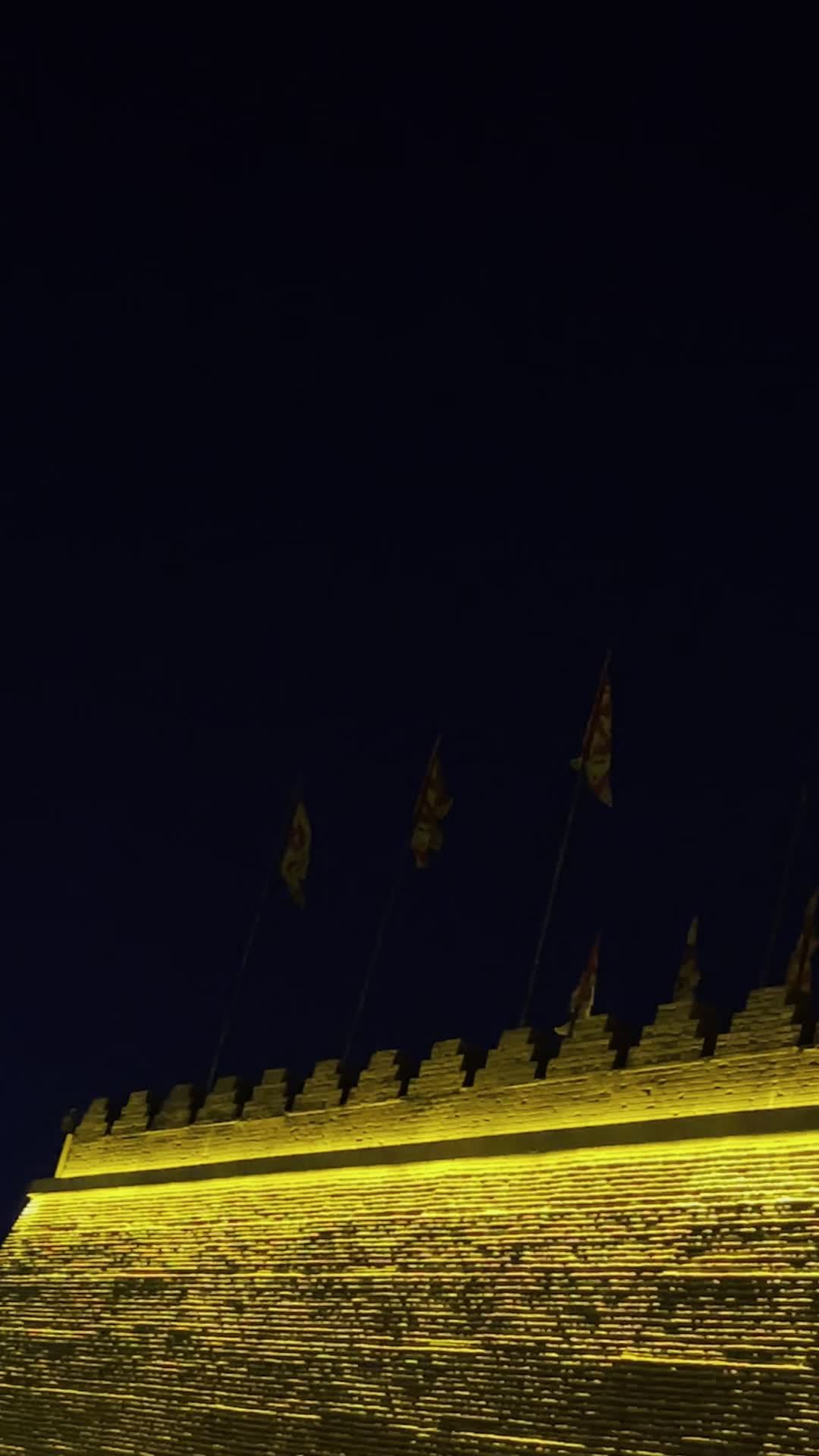 大明宫遗址公园夜景视频素材画面1