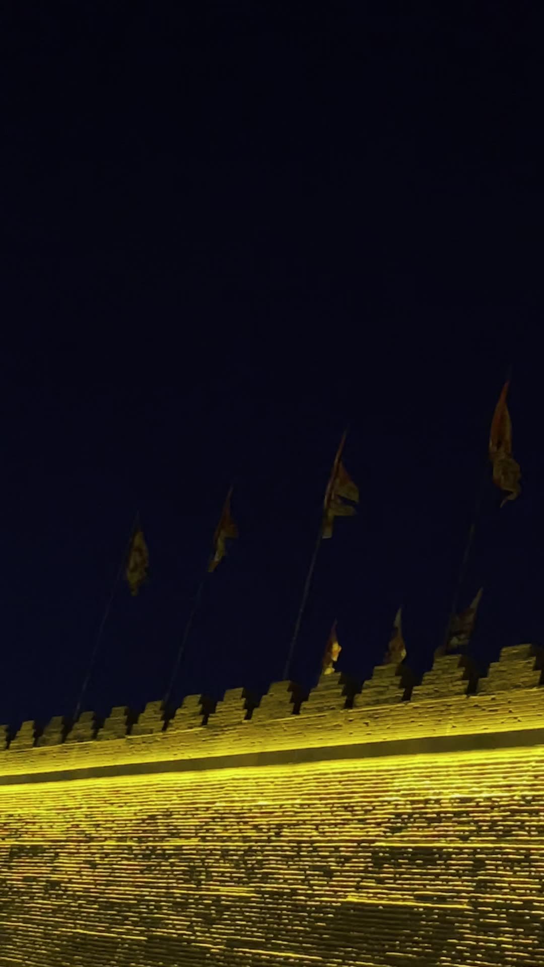 大明宫遗址公园夜景视频素材画面2
