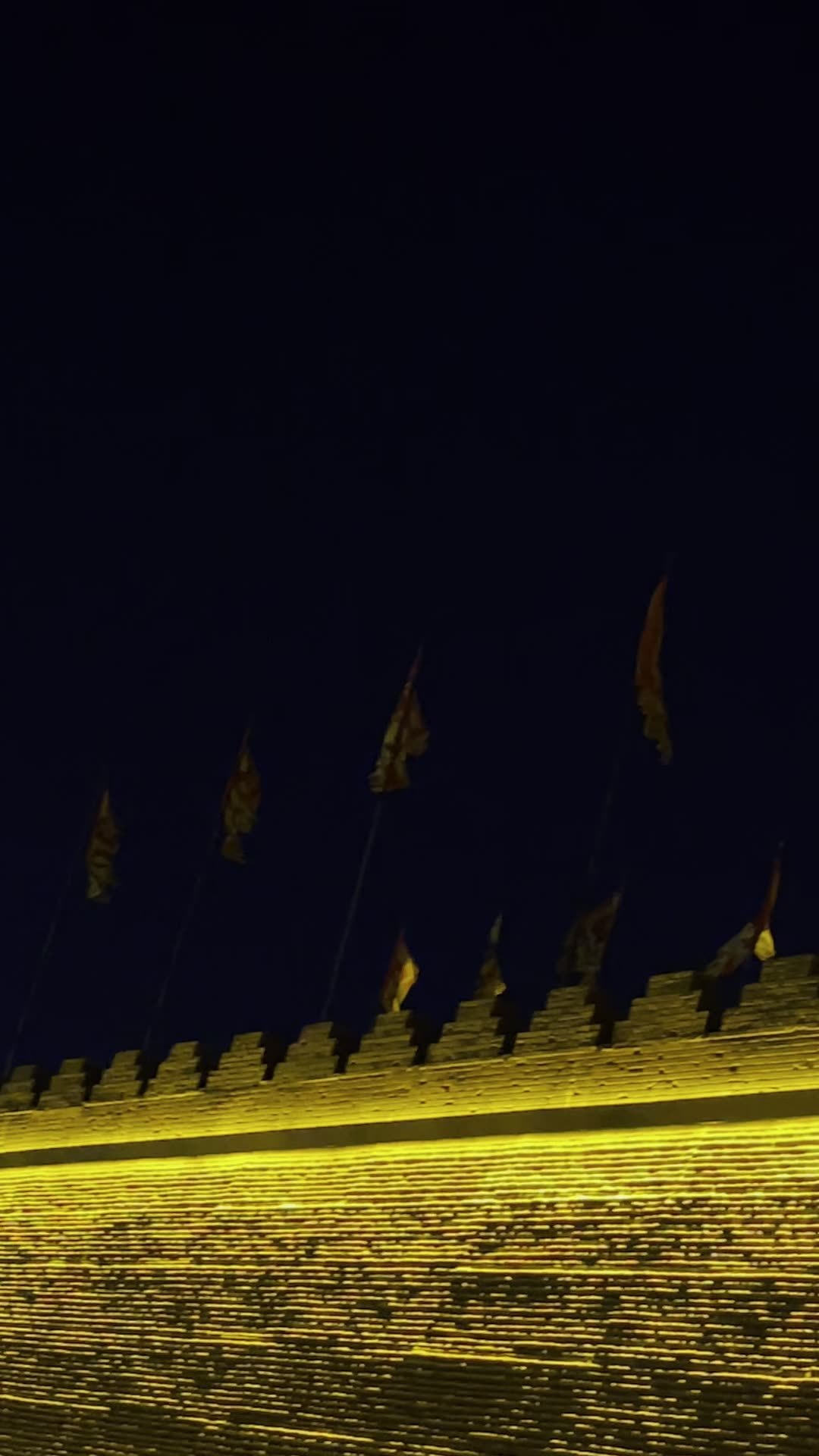 大明宫遗址公园夜景视频素材画面4