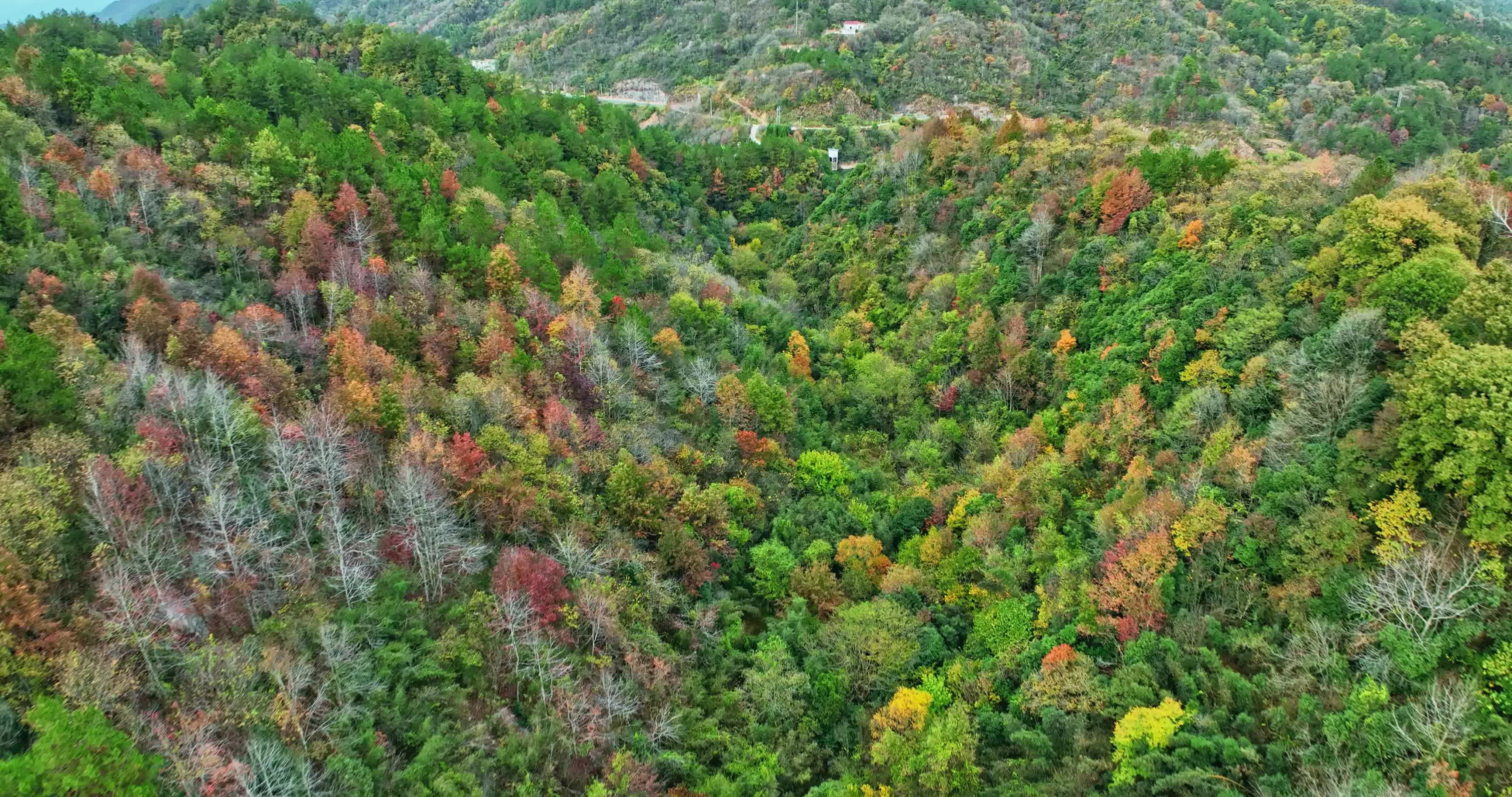 安徽金寨大别山秋天0082视频素材画面3
