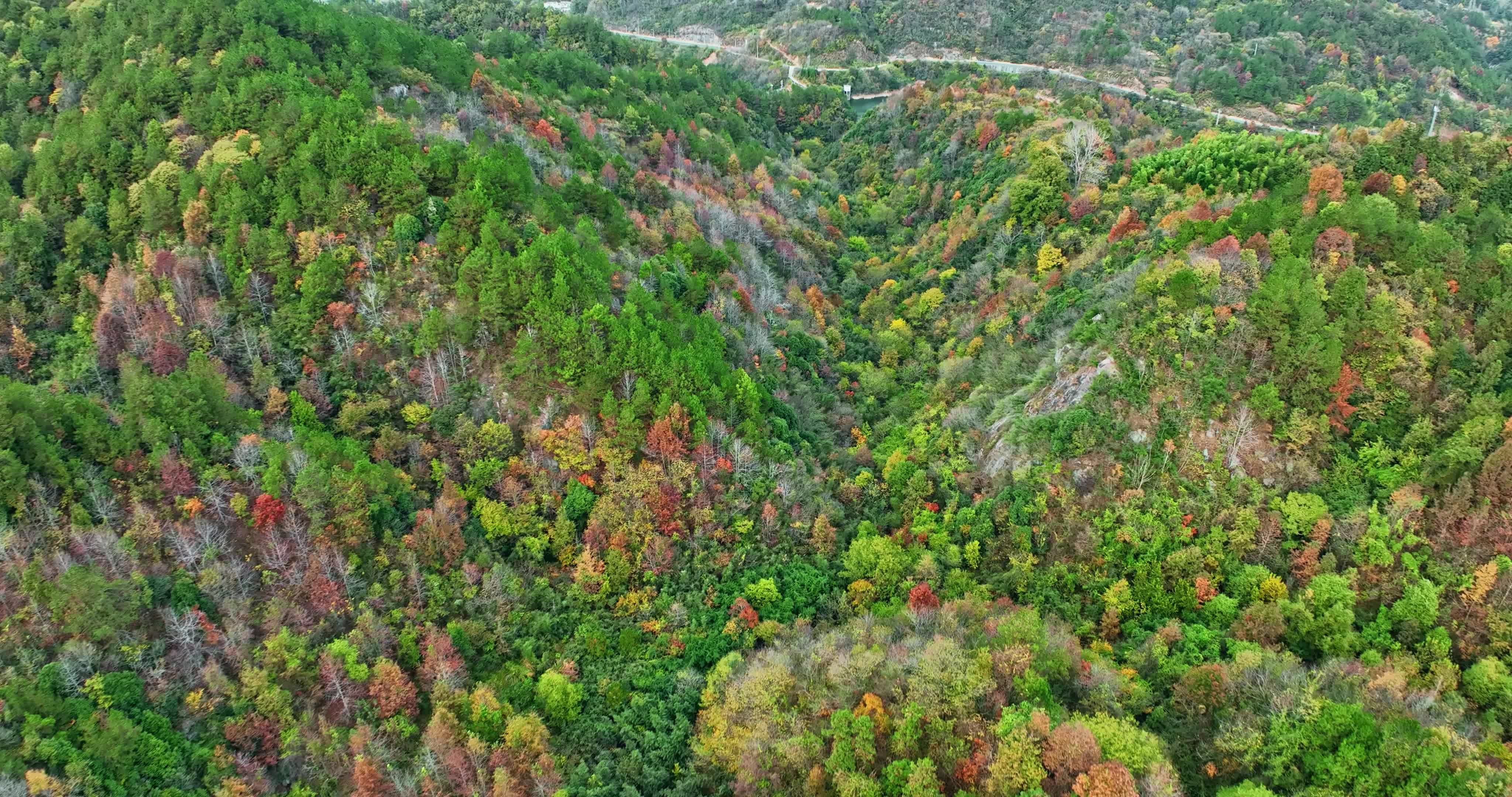 安徽金寨大别山秋天0081视频素材画面1
