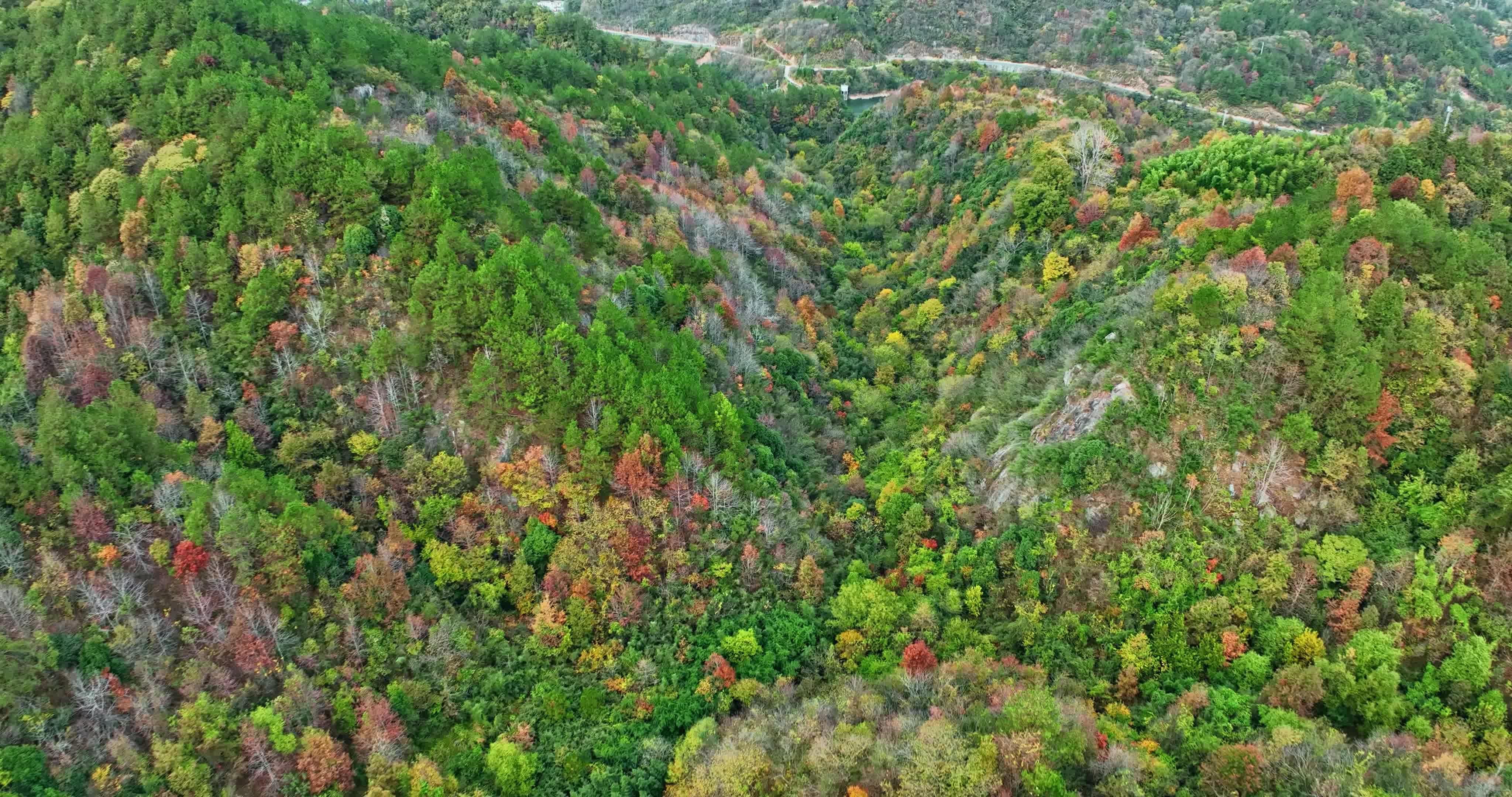 安徽金寨大别山秋天0081视频素材画面4
