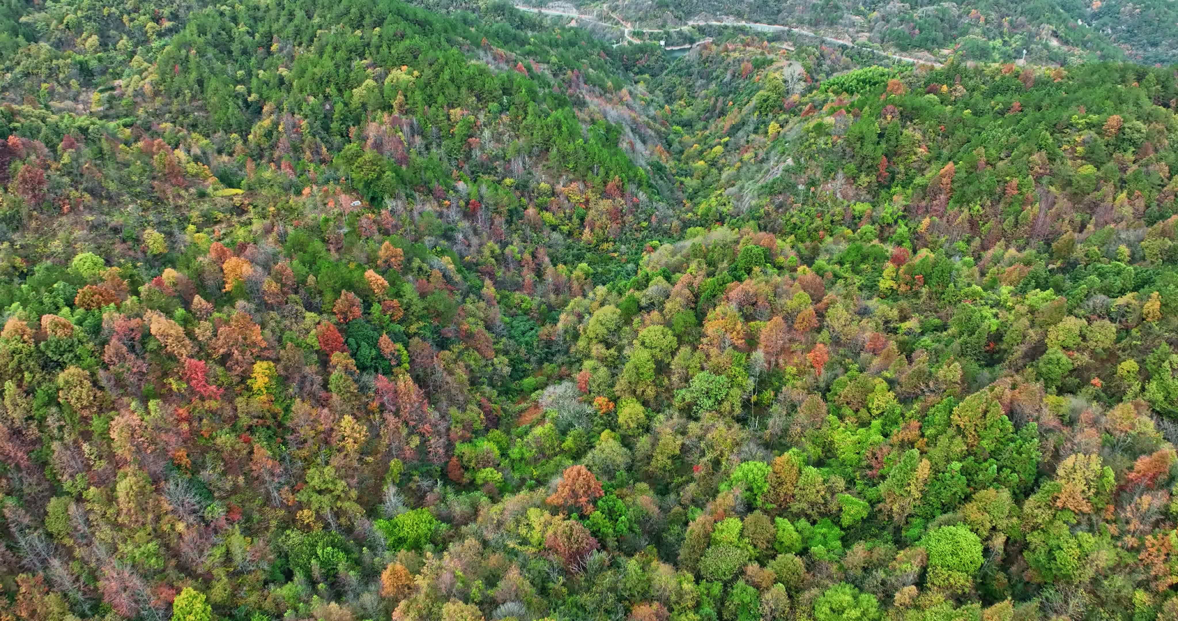 安徽金寨大别山秋天0080视频素材画面2