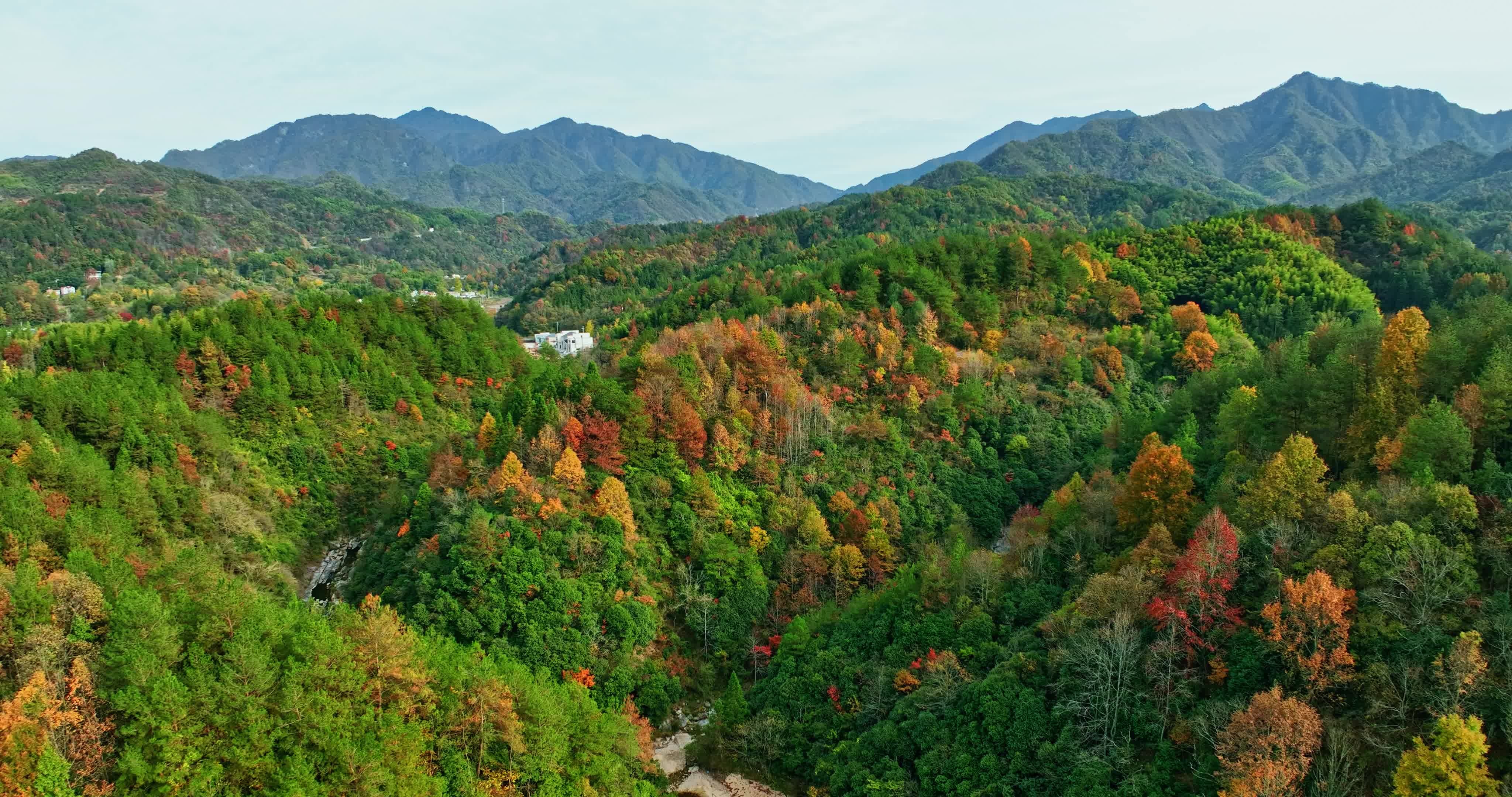 安徽金寨大别山秋天0069视频素材画面2