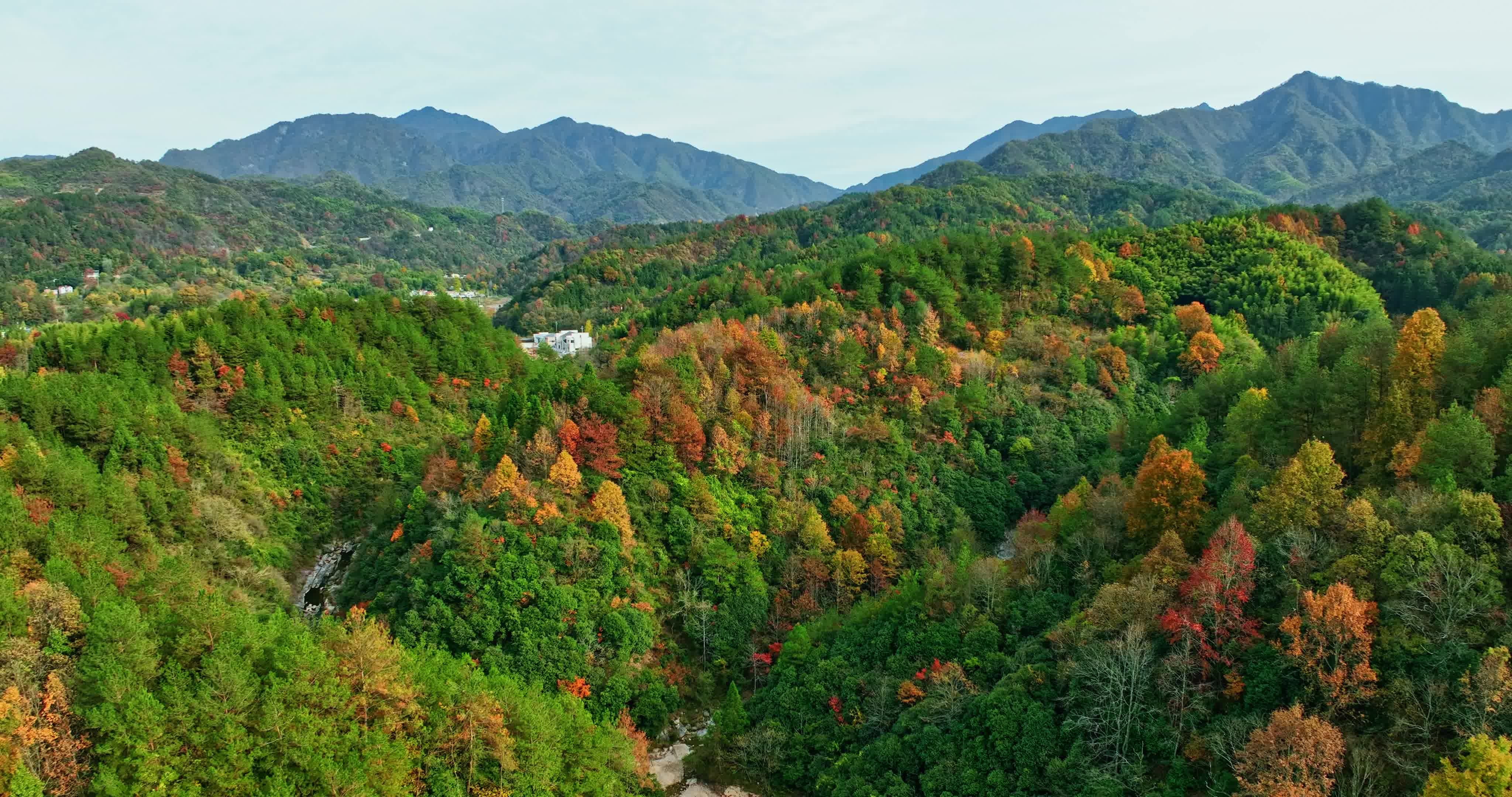 安徽金寨大别山秋天0069视频素材画面3