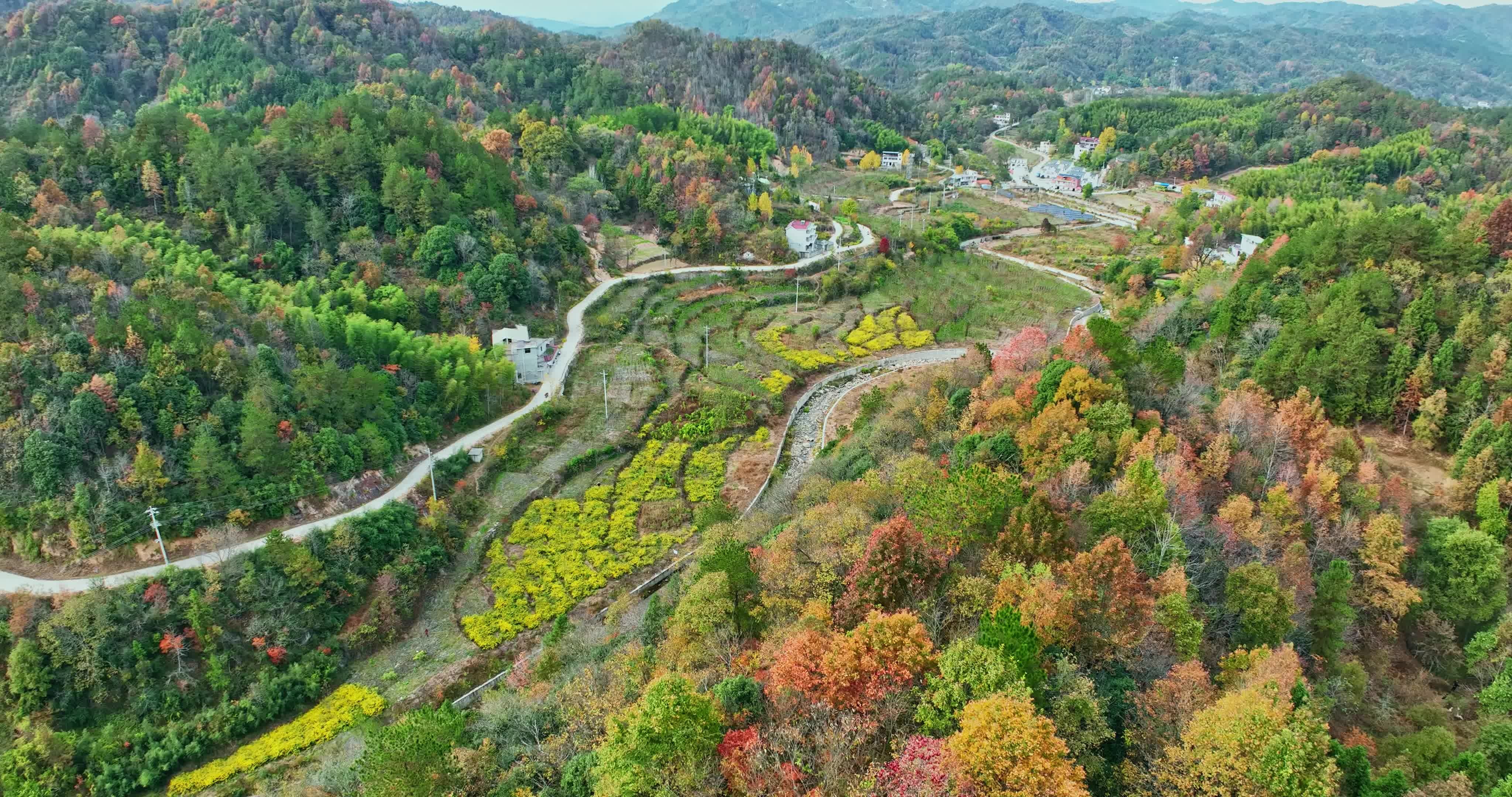 安徽金寨大别山秋天0067视频素材画面2
