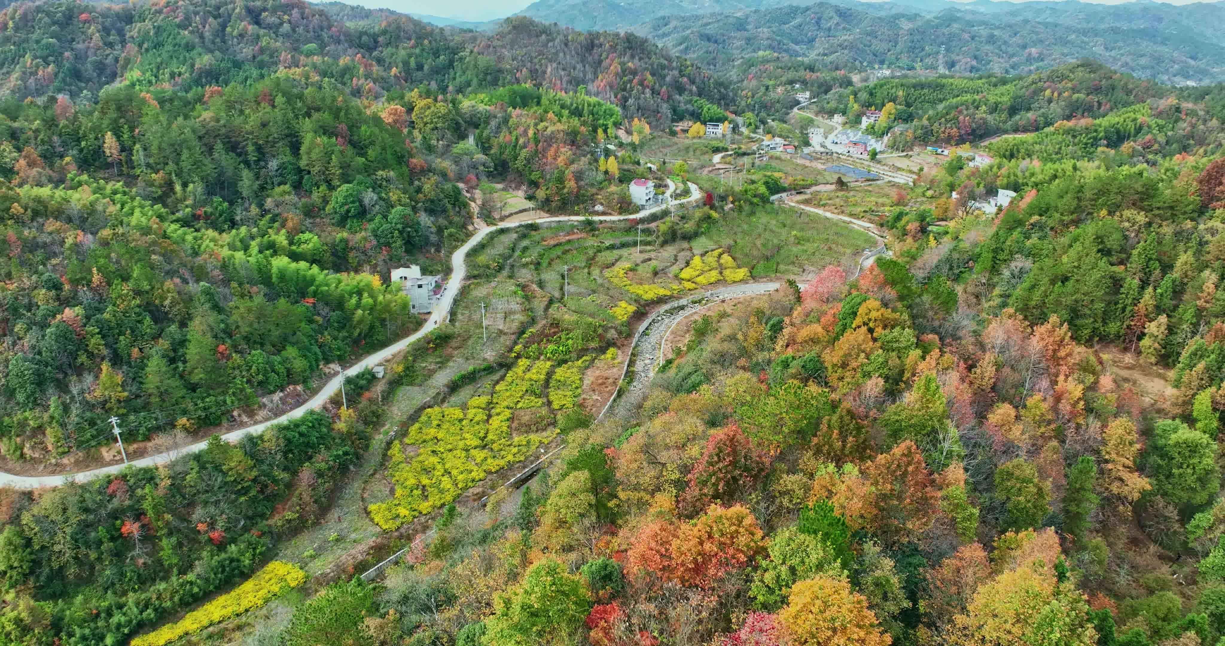安徽金寨大别山秋天0067视频素材画面3