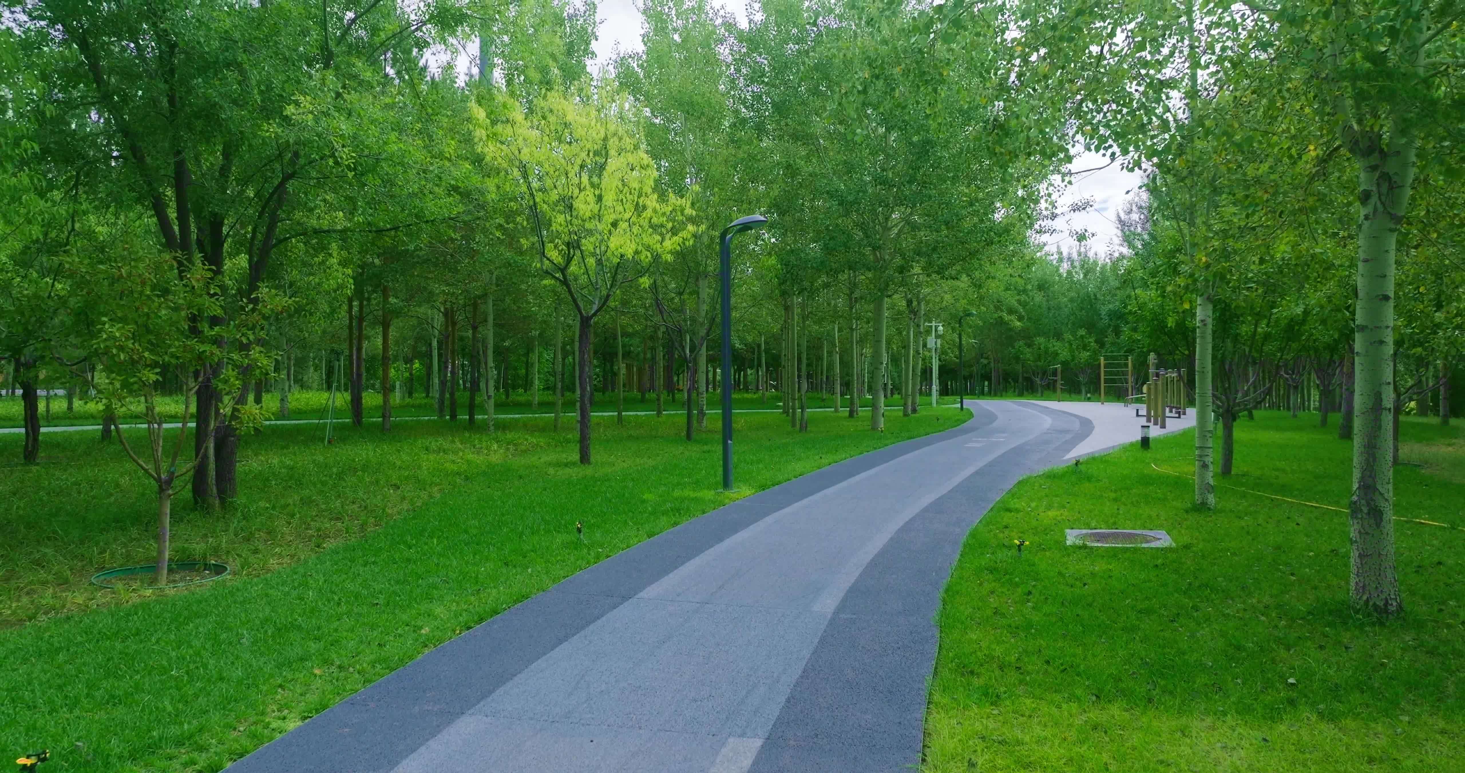 康巴什公园绿地健身步道视频素材画面4