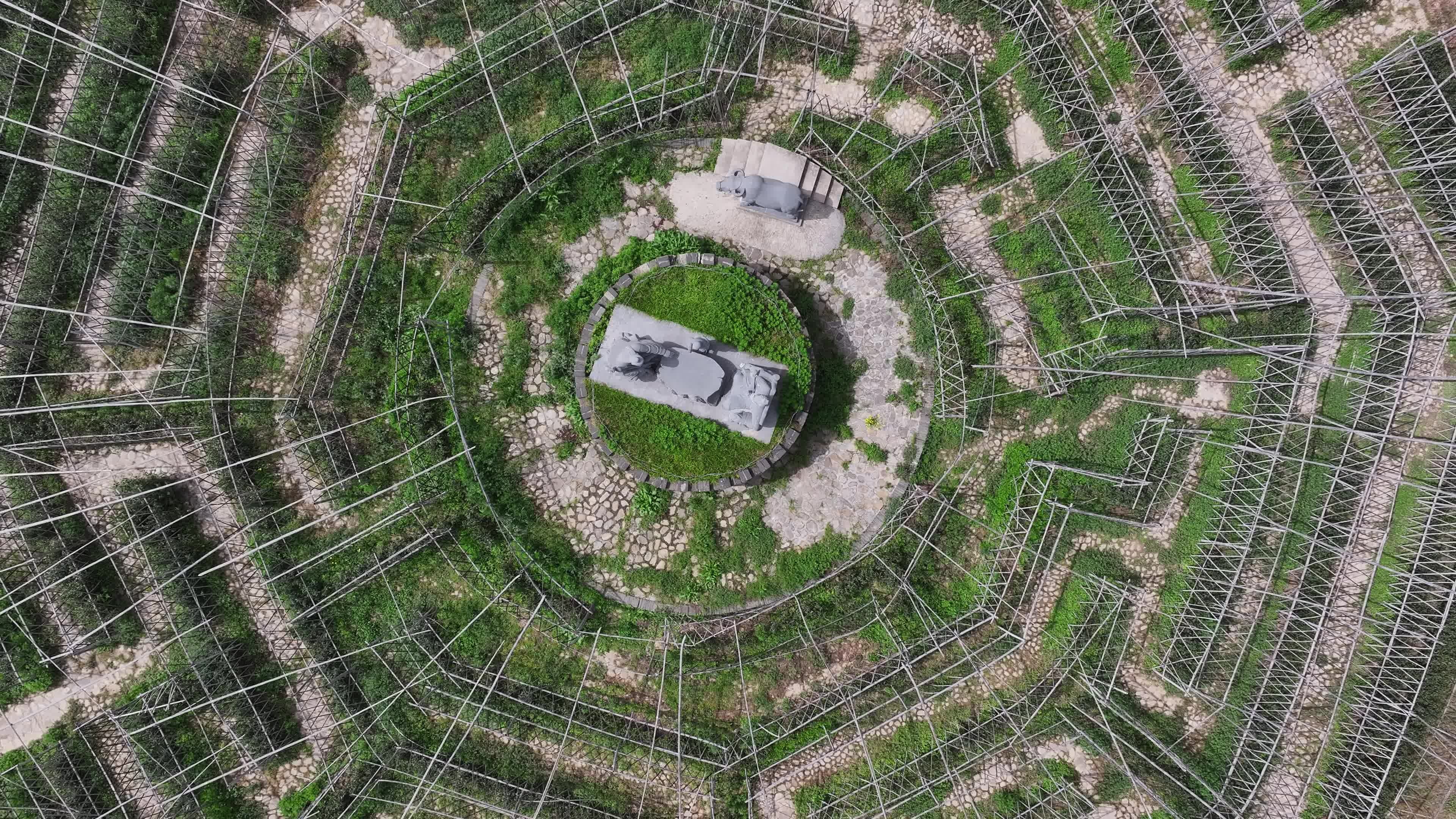 航拍茶园迷宫八卦阵自然风光景观视频素材画面1