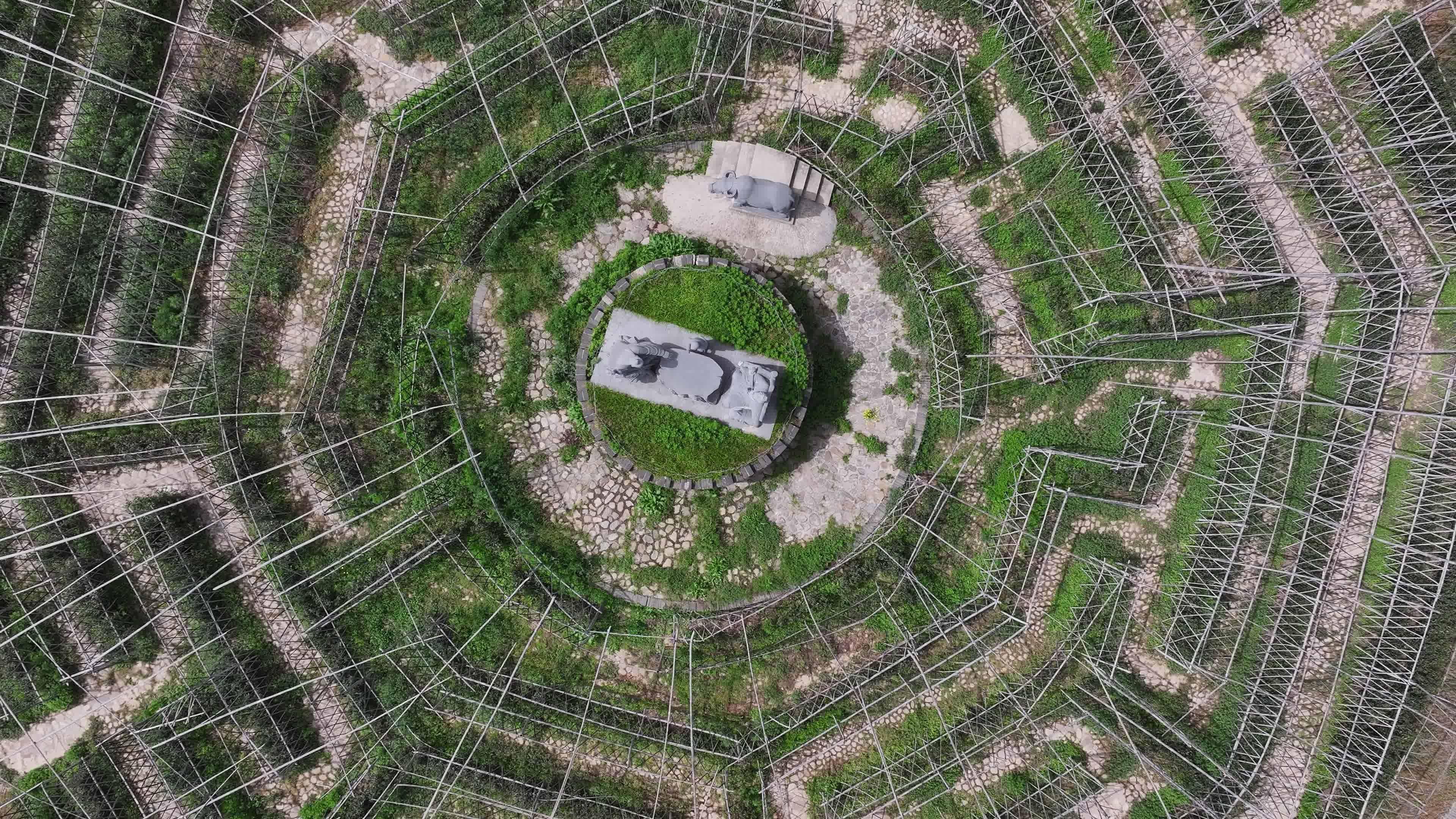 航拍茶园迷宫八卦阵自然风光景观视频素材画面2