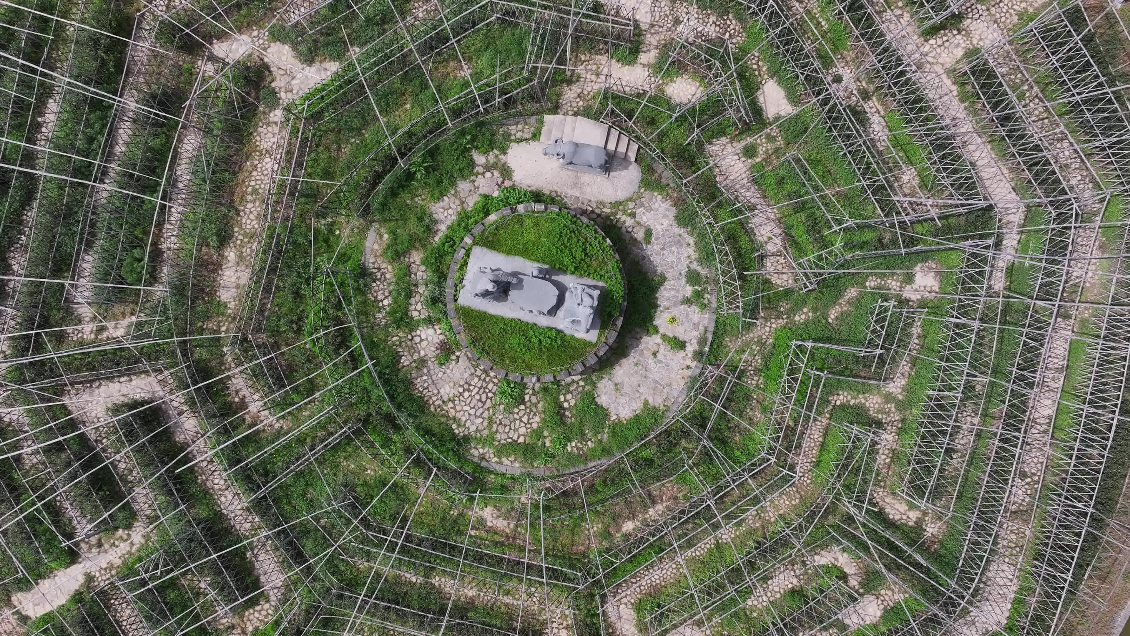 航拍茶园迷宫八卦阵自然风光景观视频素材画面4