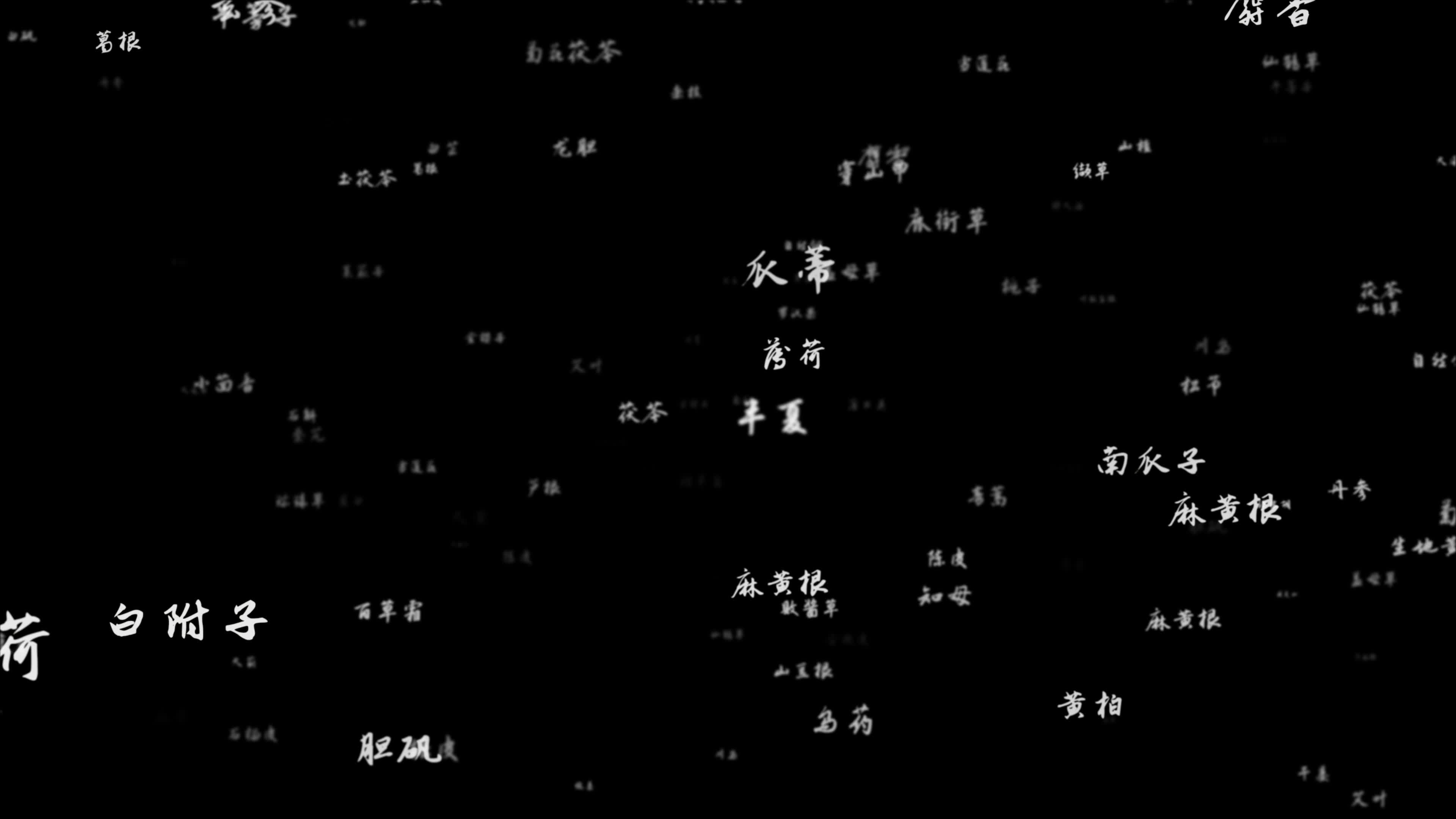 中药大全中药名冲出屏幕发射中草药带通道视频素材画面1
