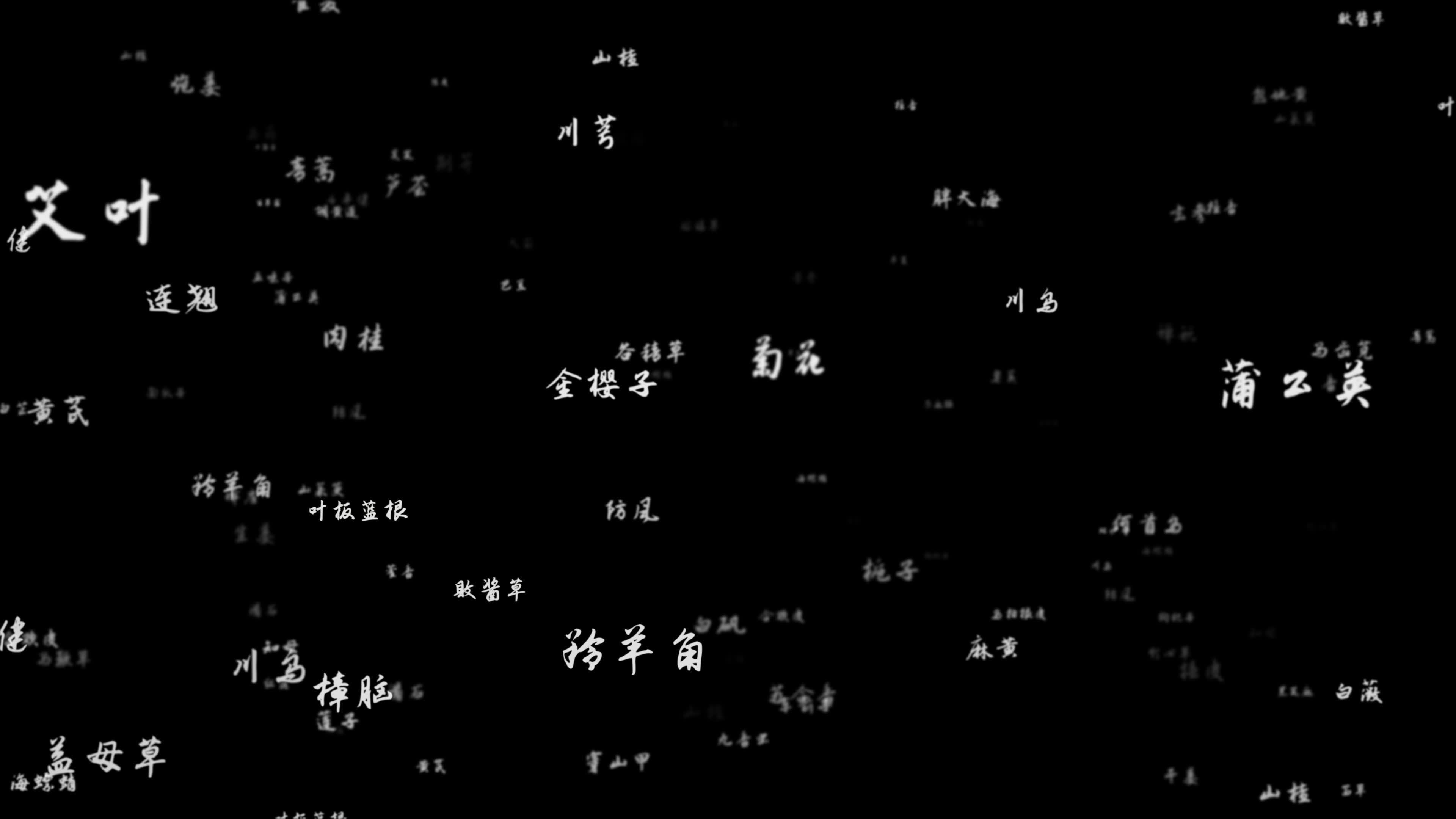 中药大全中药名冲出屏幕发射中草药带通道视频素材画面2