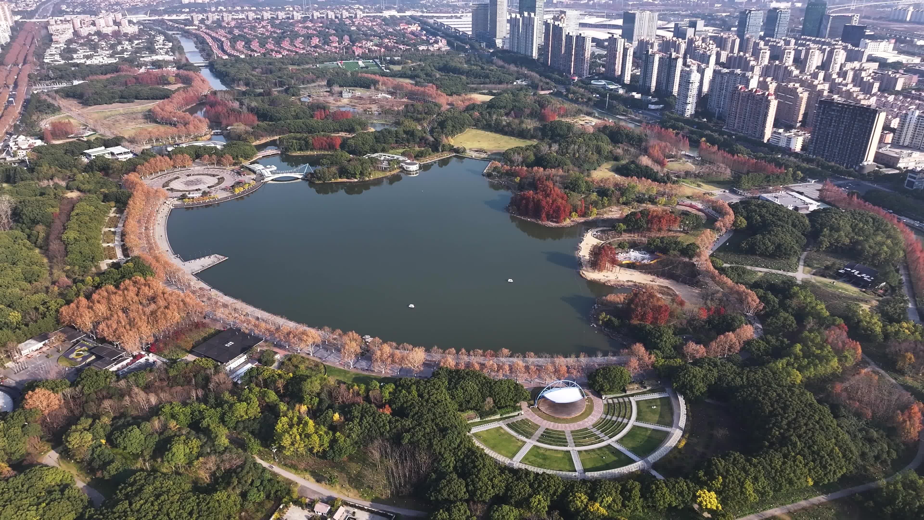 上海世纪公园视频素材画面1