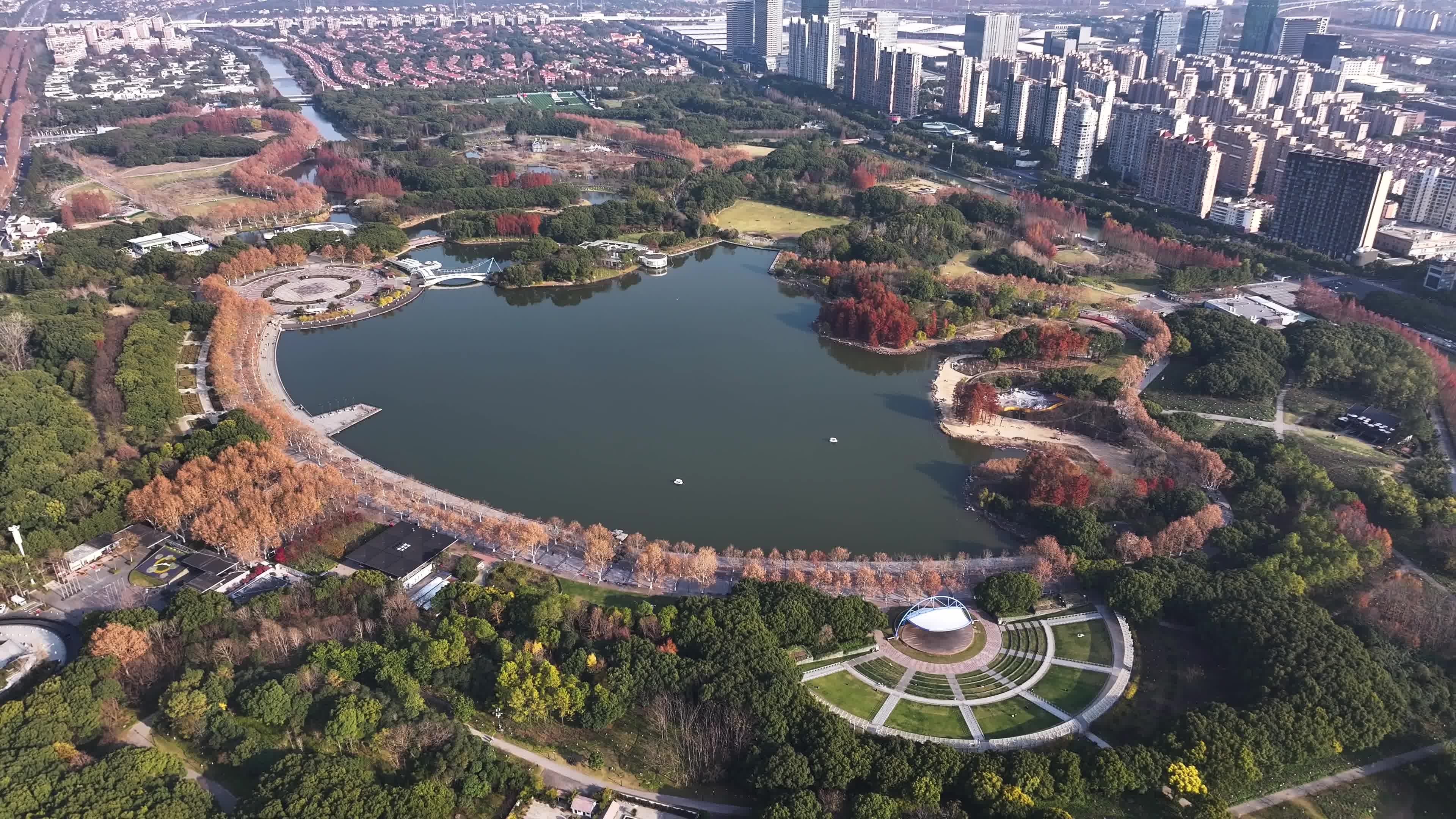 上海世纪公园视频素材画面2