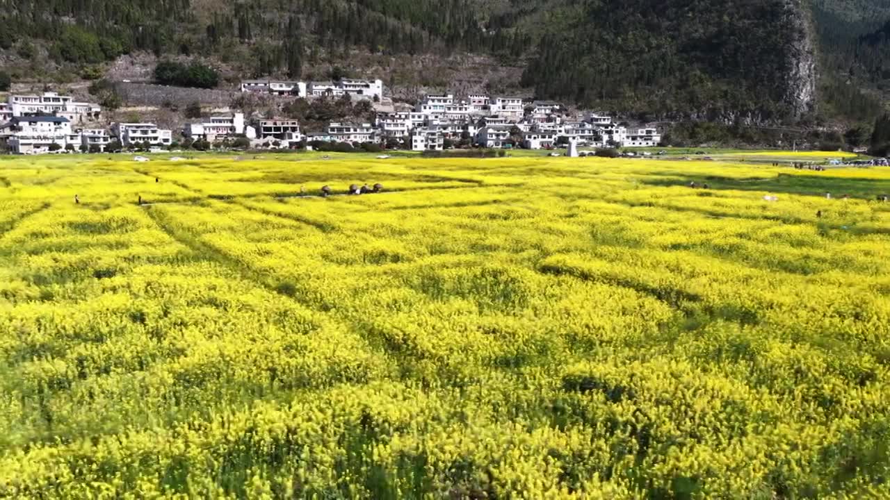 贵州万峰林八卦田航拍视频素材画面1
