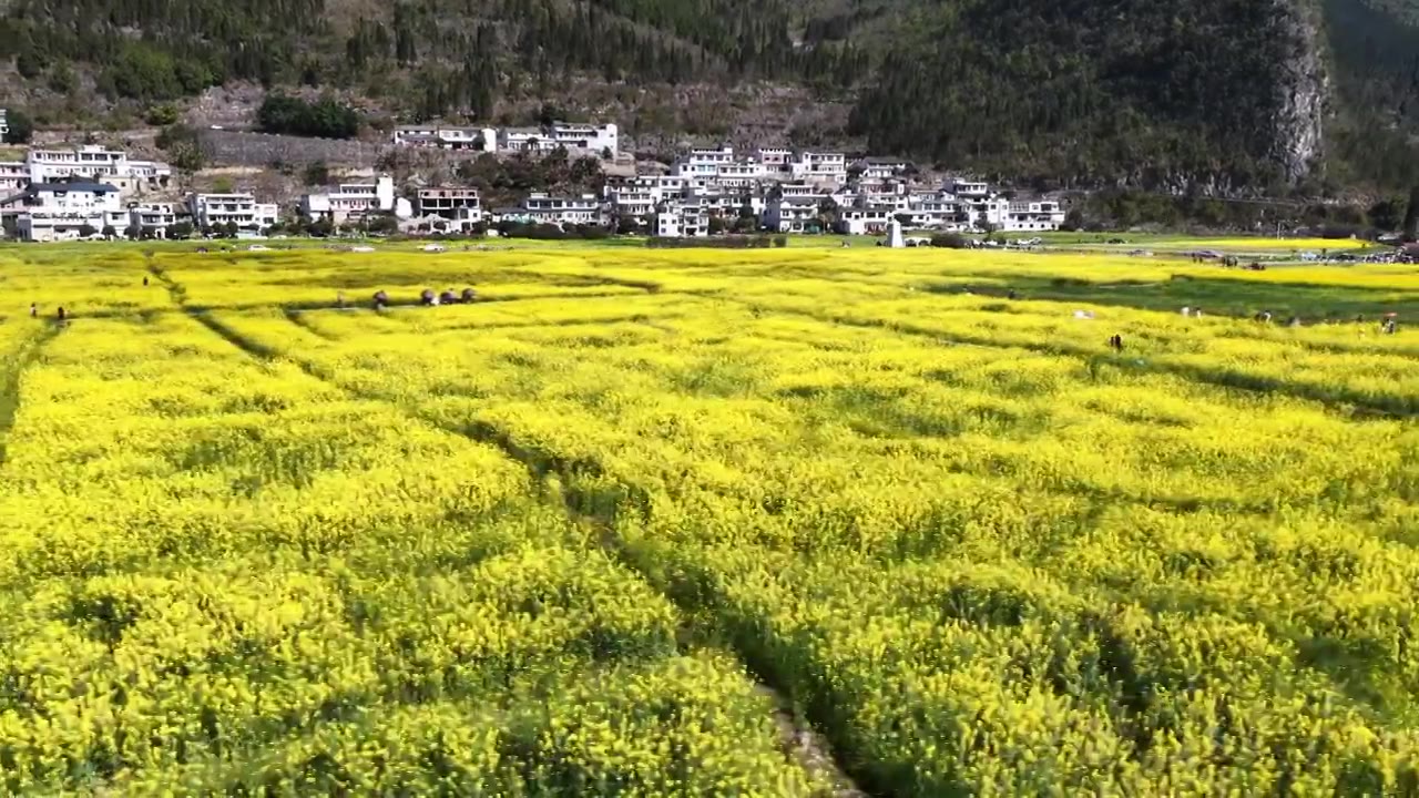 贵州万峰林八卦田航拍视频素材画面3