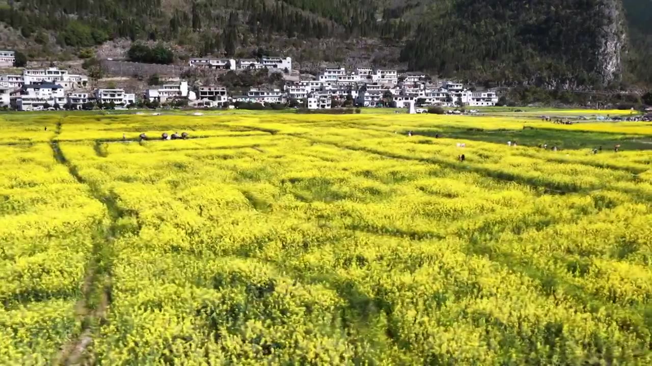 贵州万峰林八卦田航拍视频素材画面4