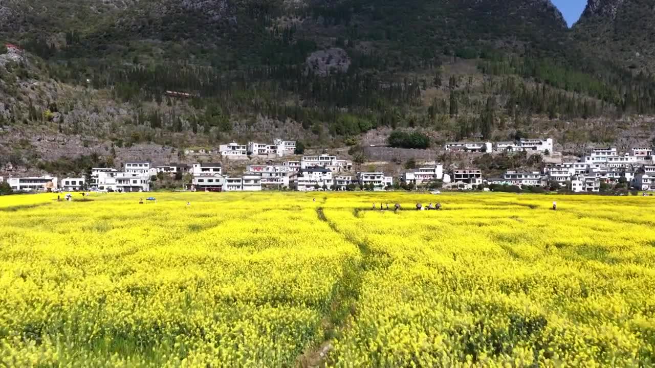 贵州万峰林八卦田航拍视频素材画面1